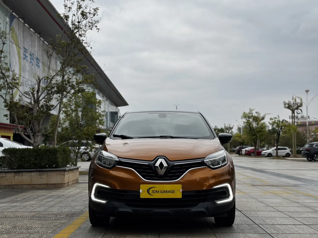 Renault Cardboard (imported)  из Китая