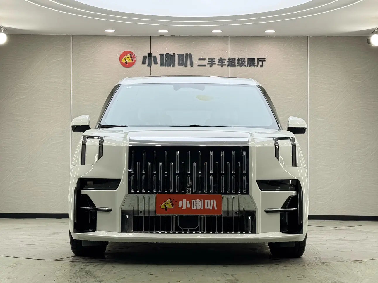 ZEEKR 009  из Китая