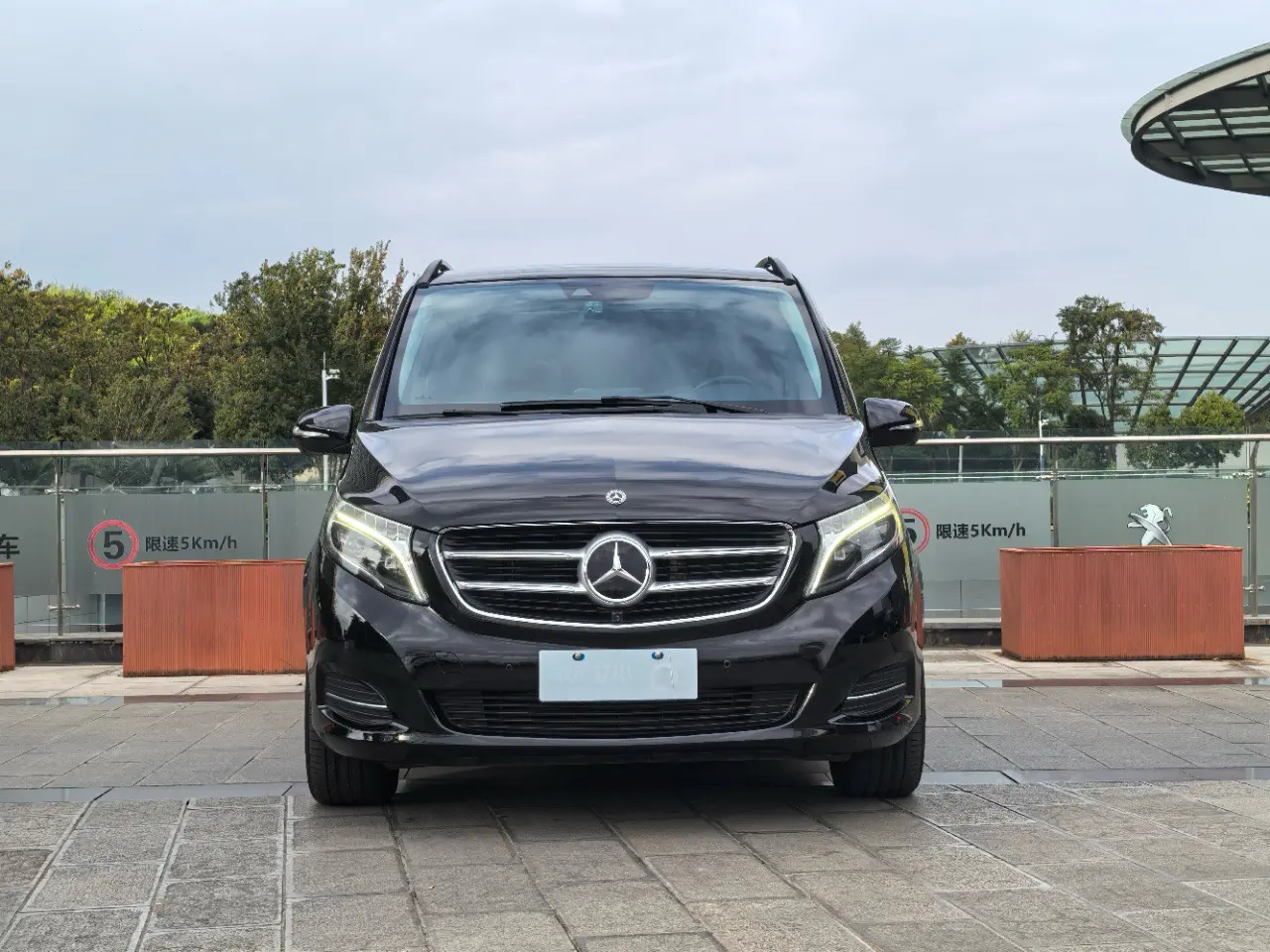 Mercedes-Benz Mercedes Benz V Class  из Китая