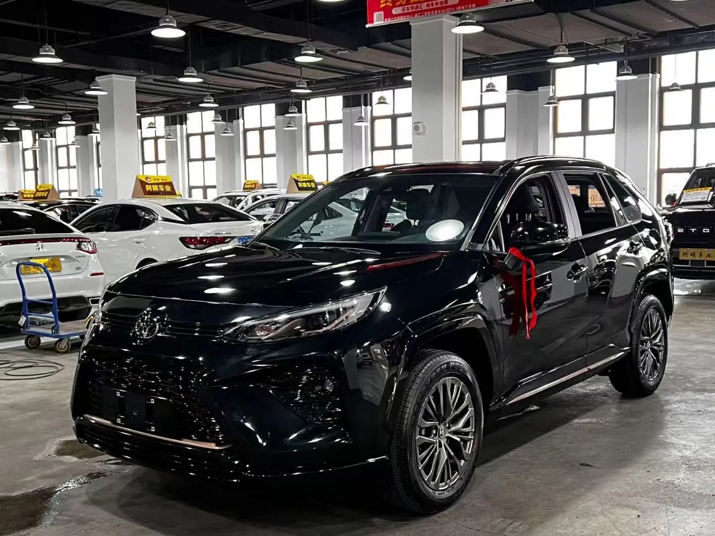 Toyota Willanda