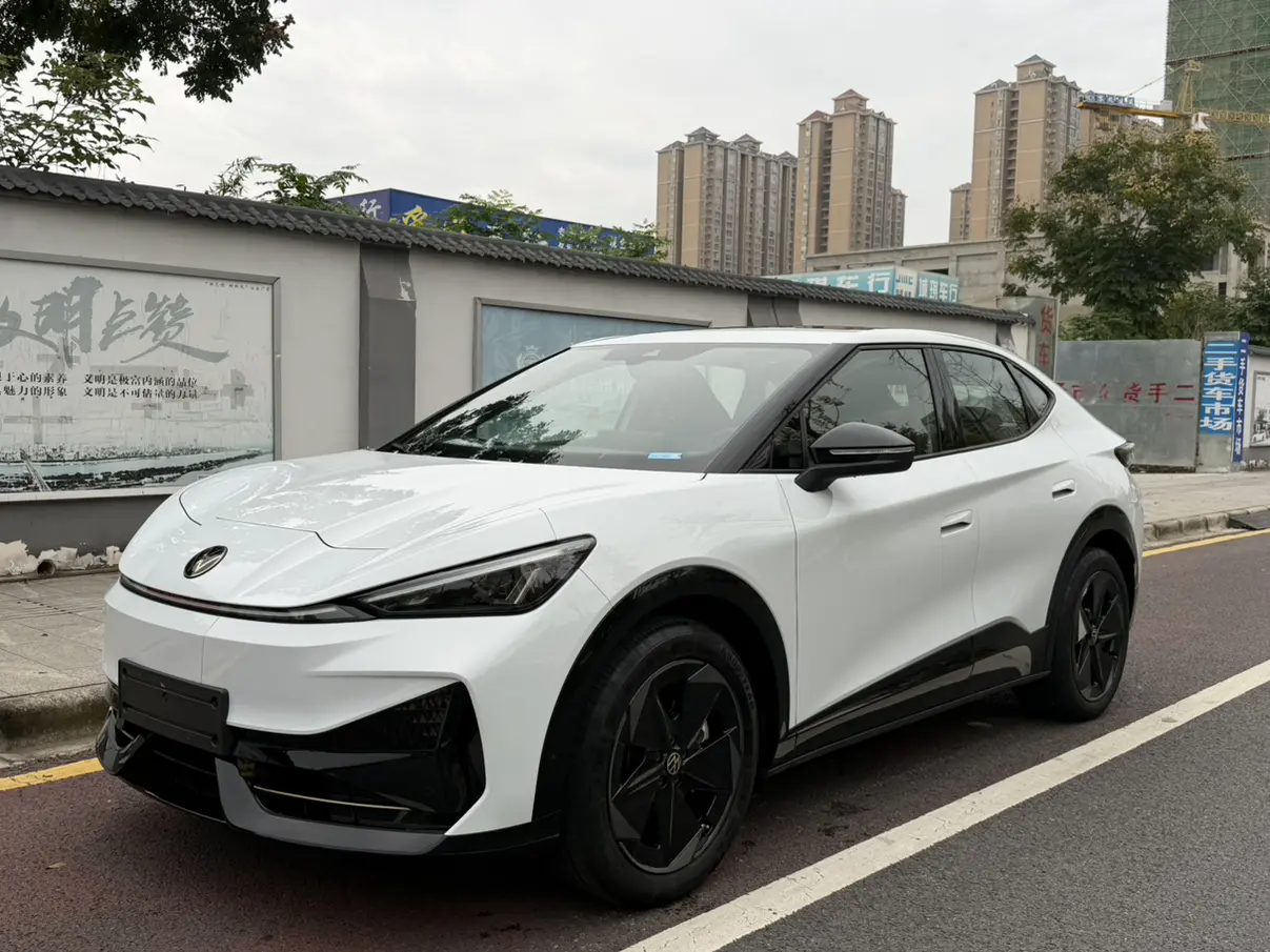 Volkswagen With the crowd06  из Китая