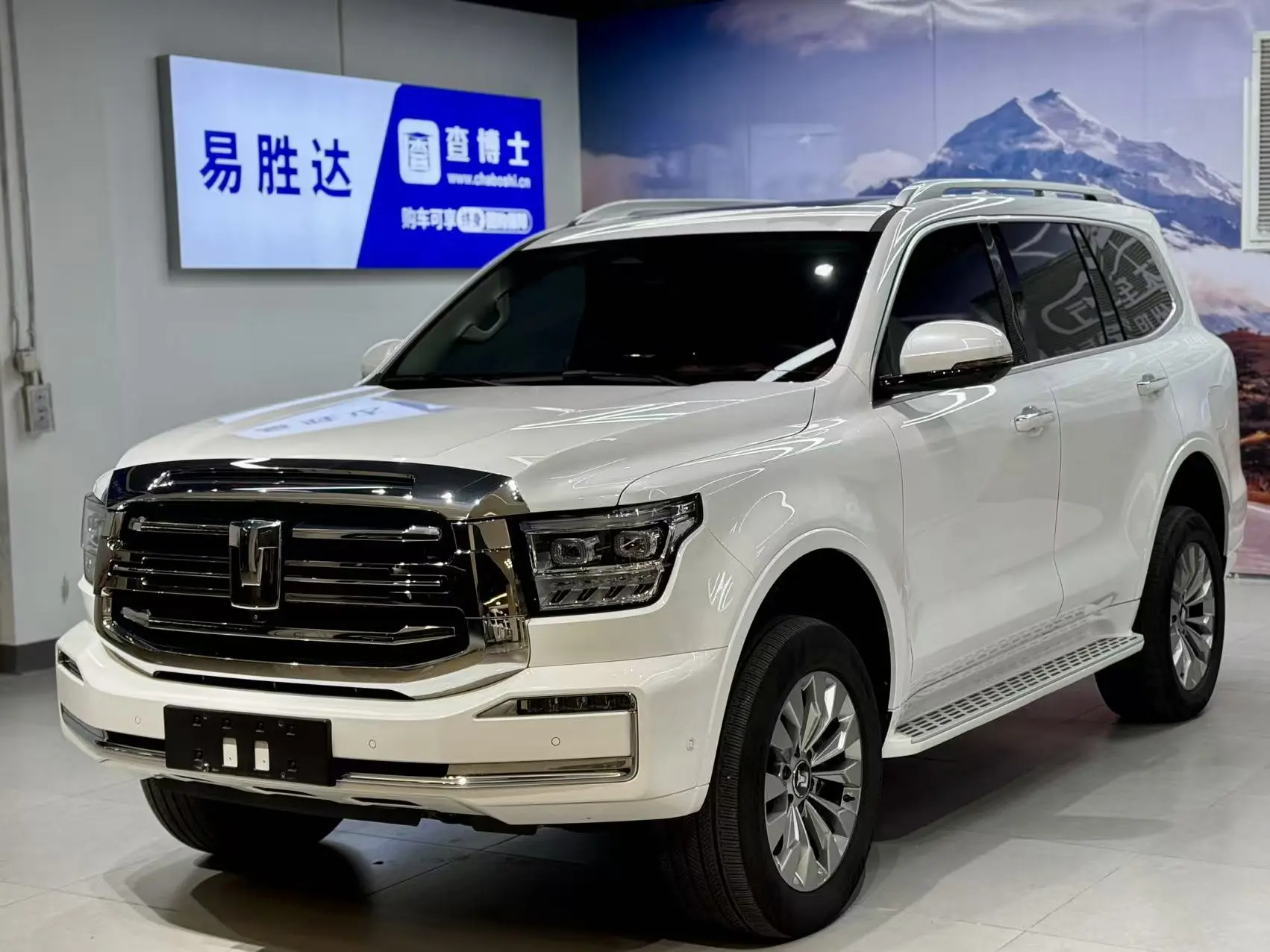 Tank 500 Hi4-Z  из Китая