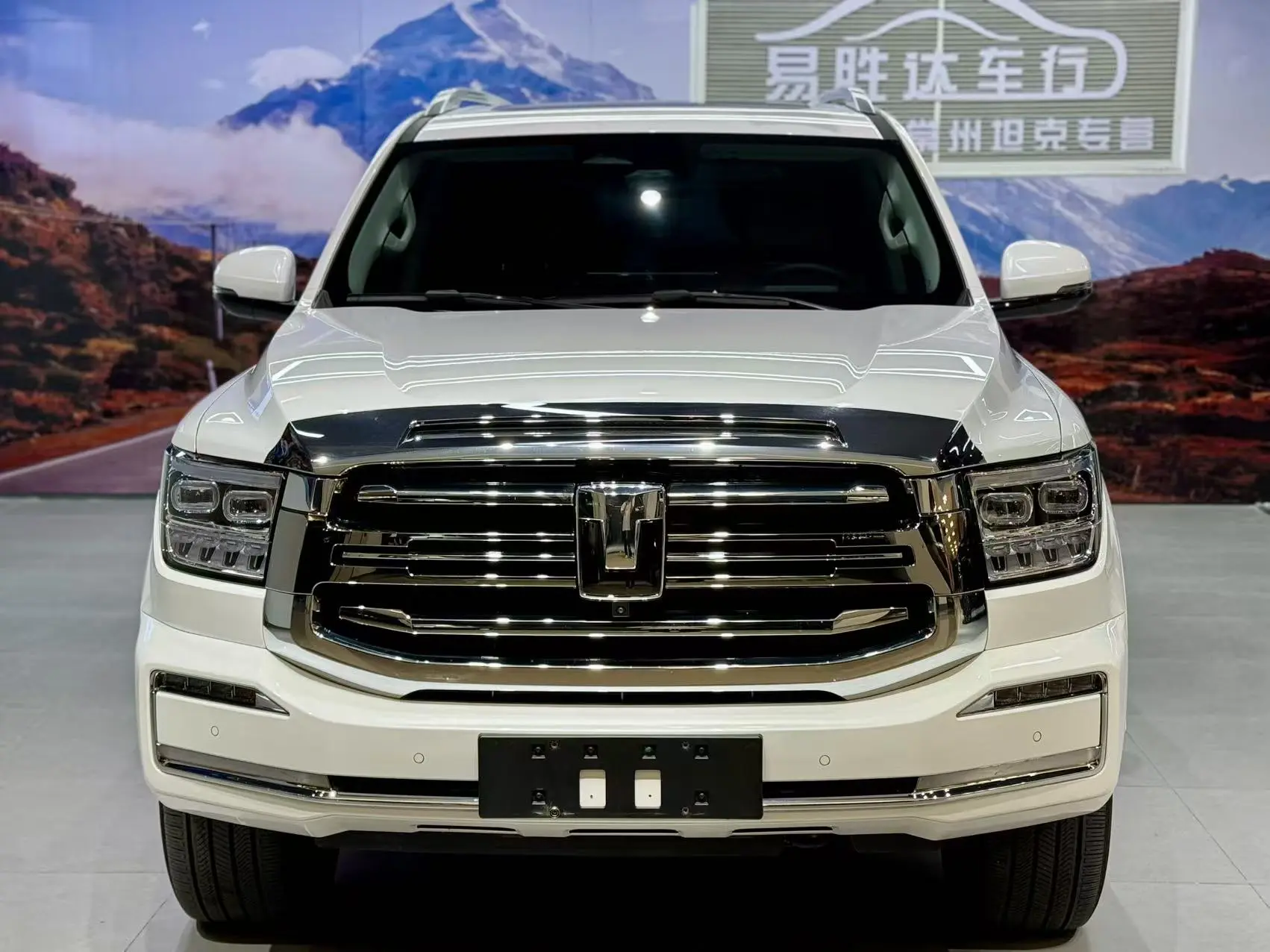 Tank 500 Hi4-Z  из Китая