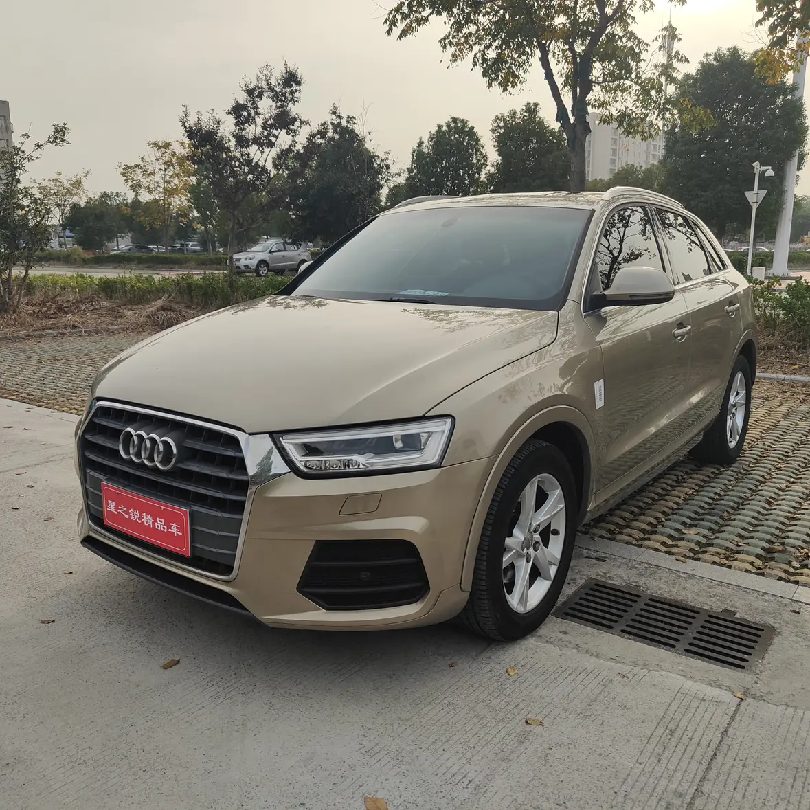 Audi Q3  из Китая