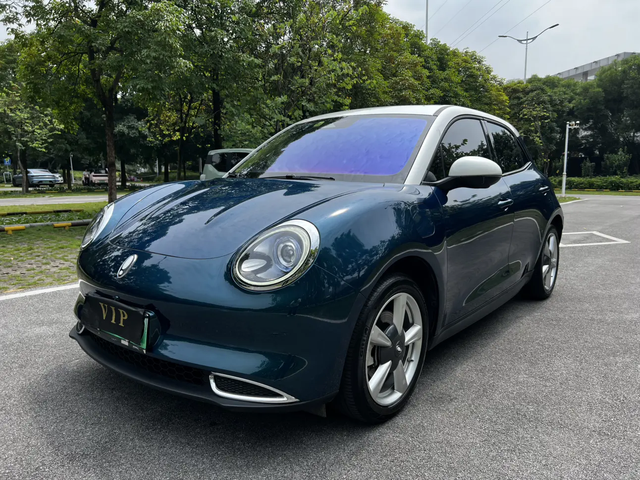 ORA Euler good cat  из Китая