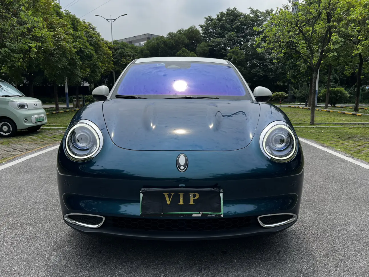 ORA Euler good cat  из Китая