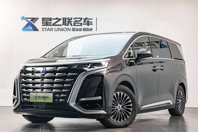 Denza D9 DM  из Китая