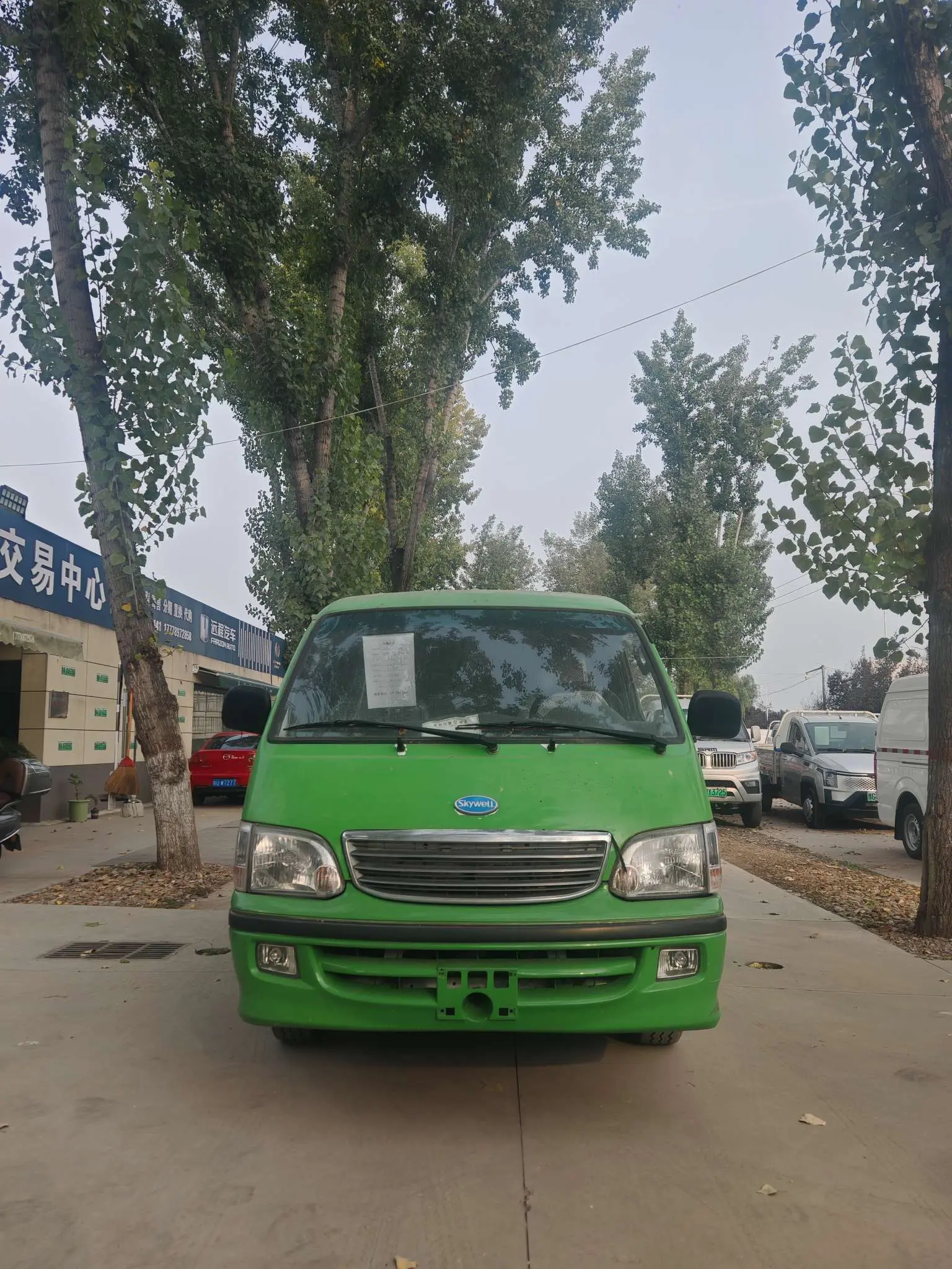 Golden dragon Long Yao 8  из Китая