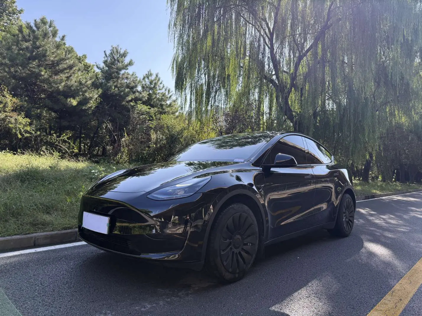 Tesla Model Y  из Китая