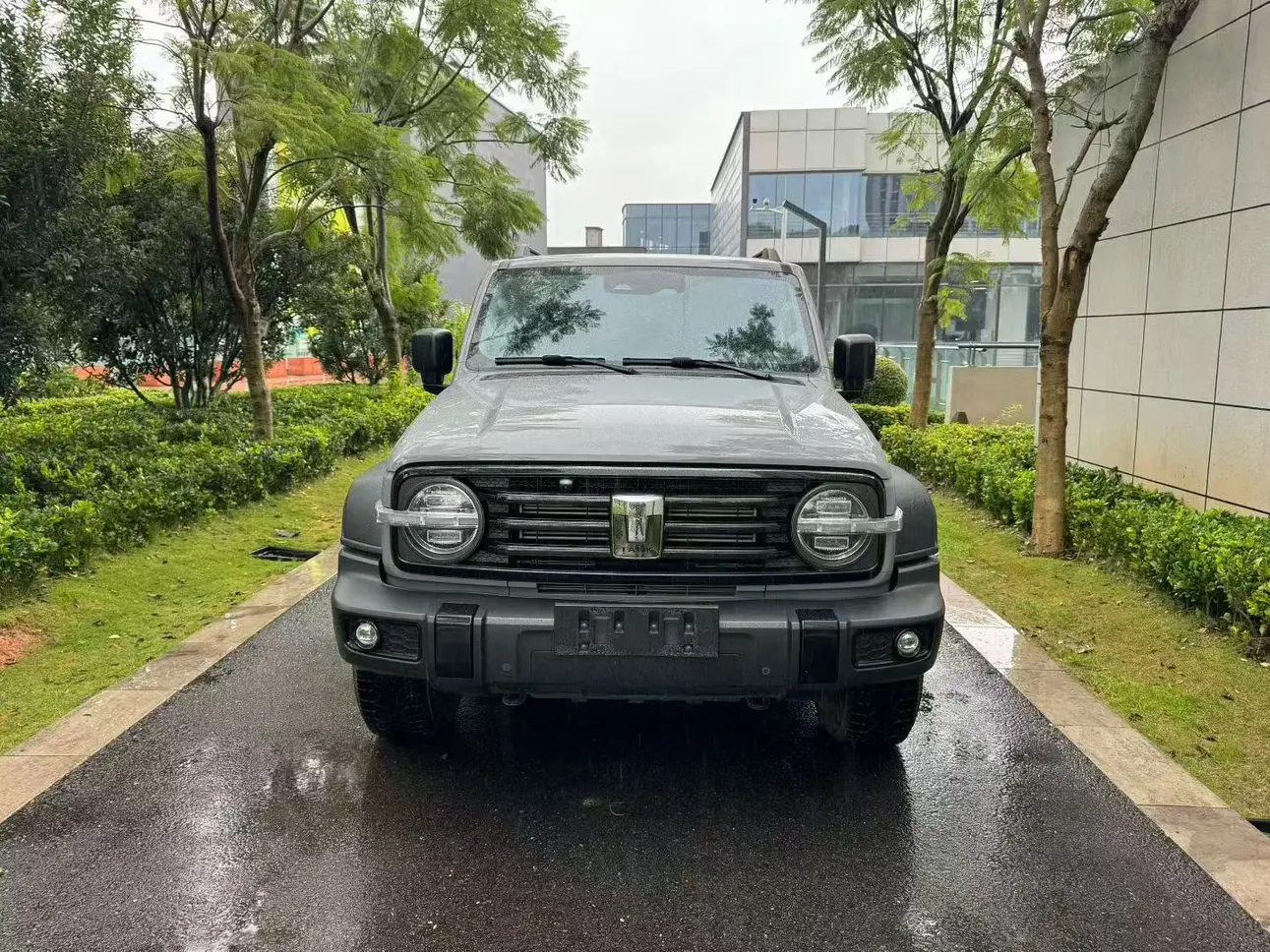 Tank 300  из Китая