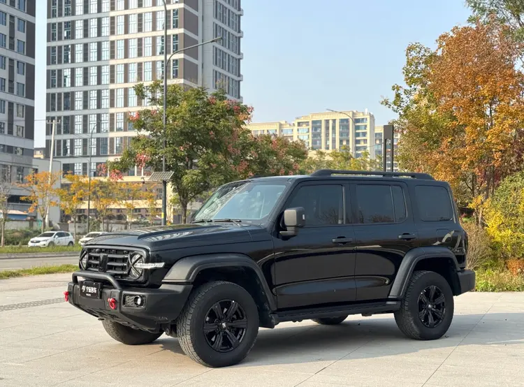 Tank 300  из Китая