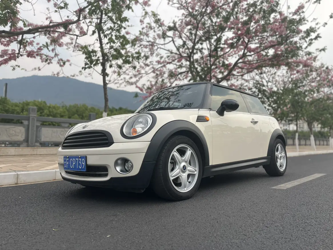 MINI MINI  из Китая