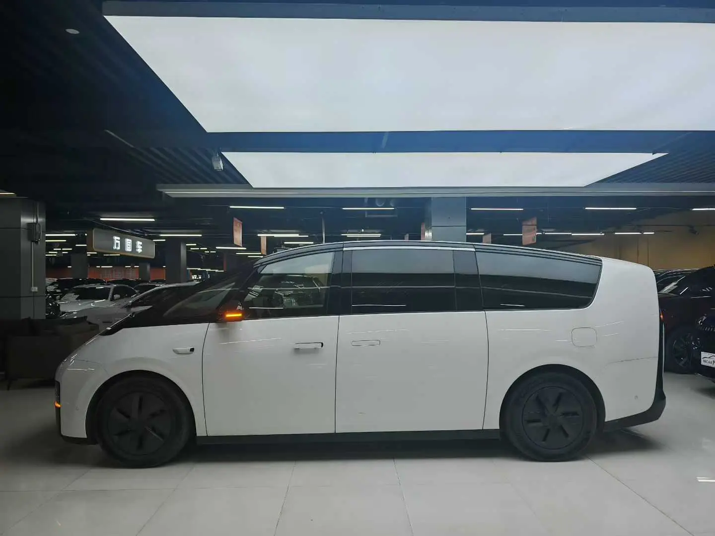 Li MEGA (Ideal MEGA)  из Китая