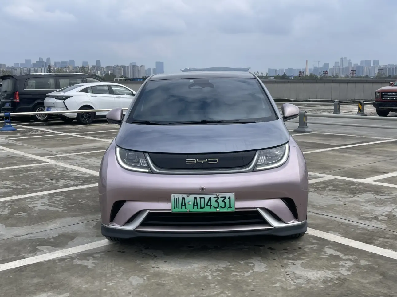 BYD Dolphin  из Китая