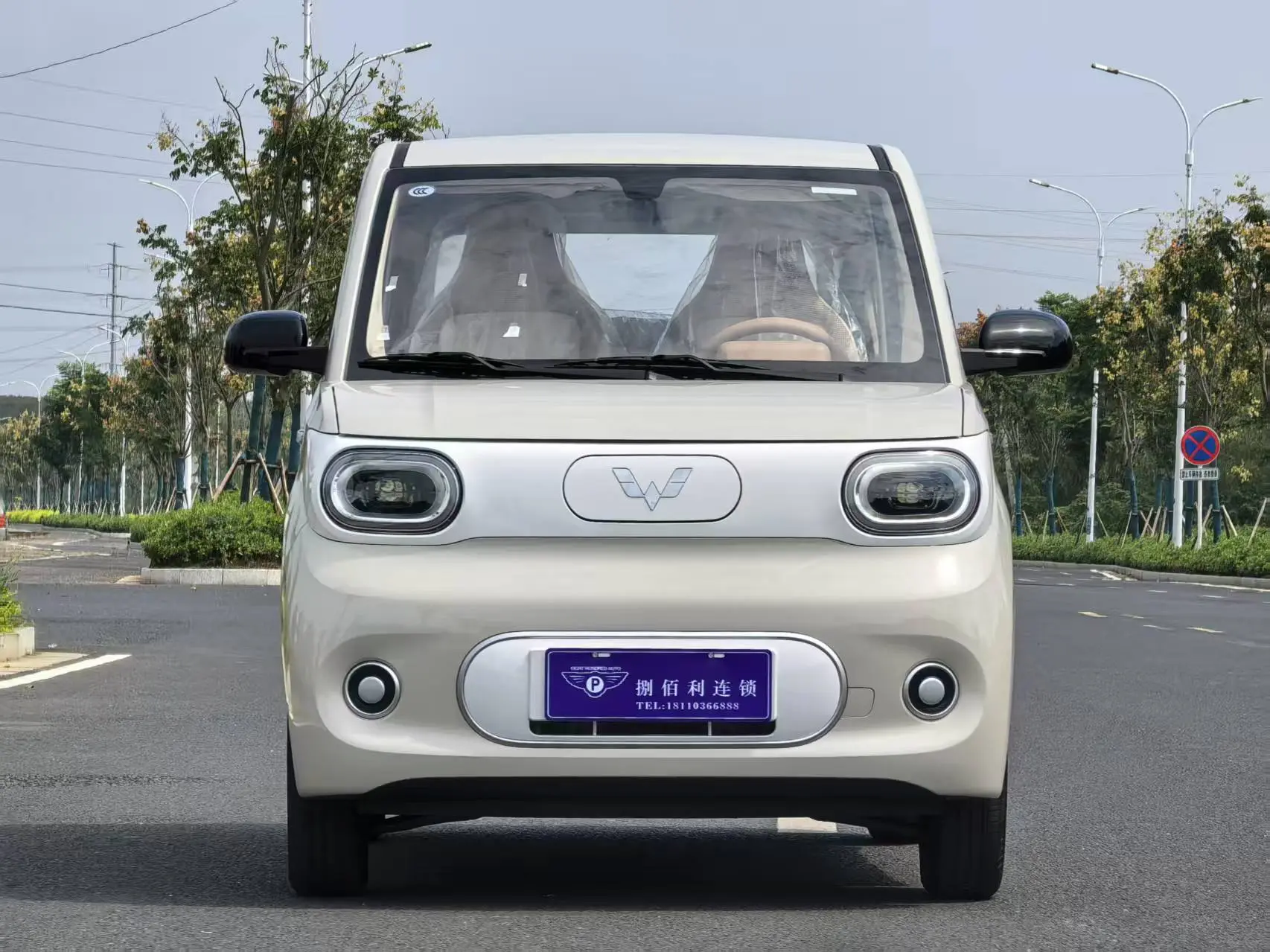 Wuling Hongguang MINIEV  из Китая