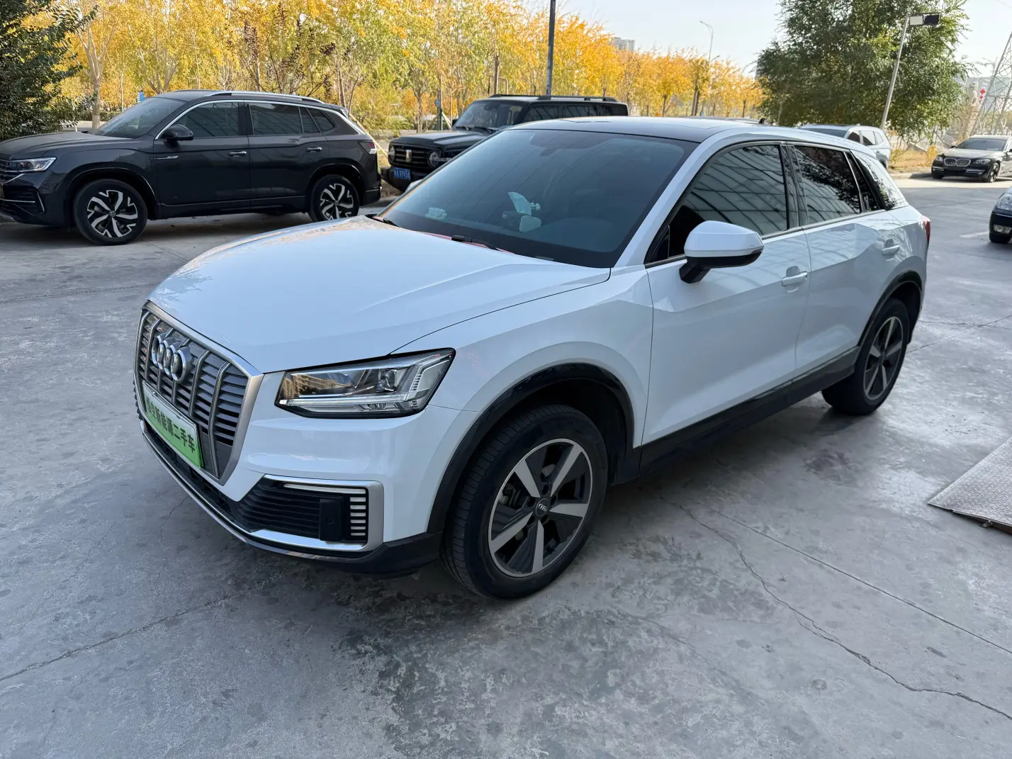 Audi Q2L e-tron  из Китая