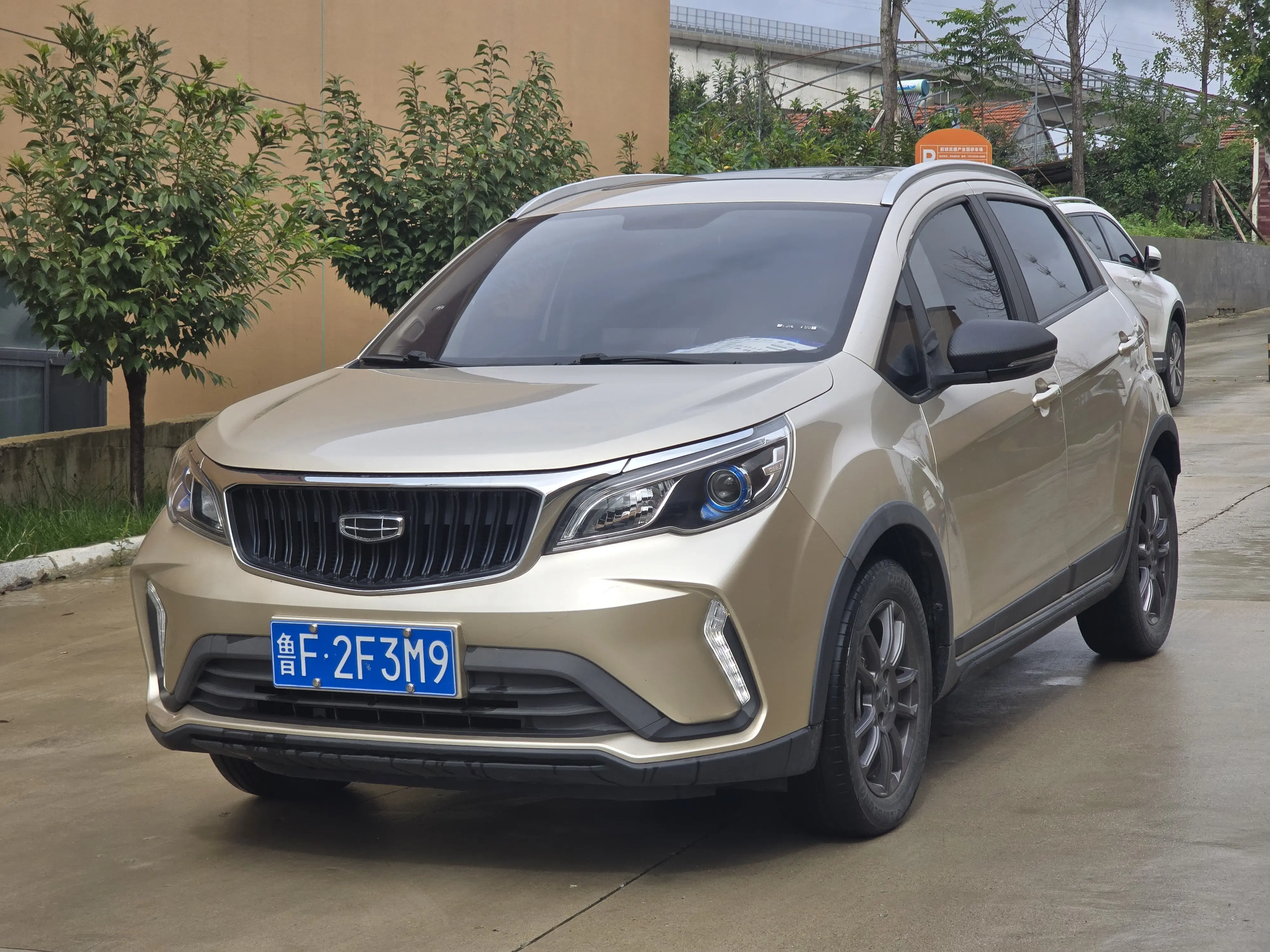 Geely Vision X3  из Китая