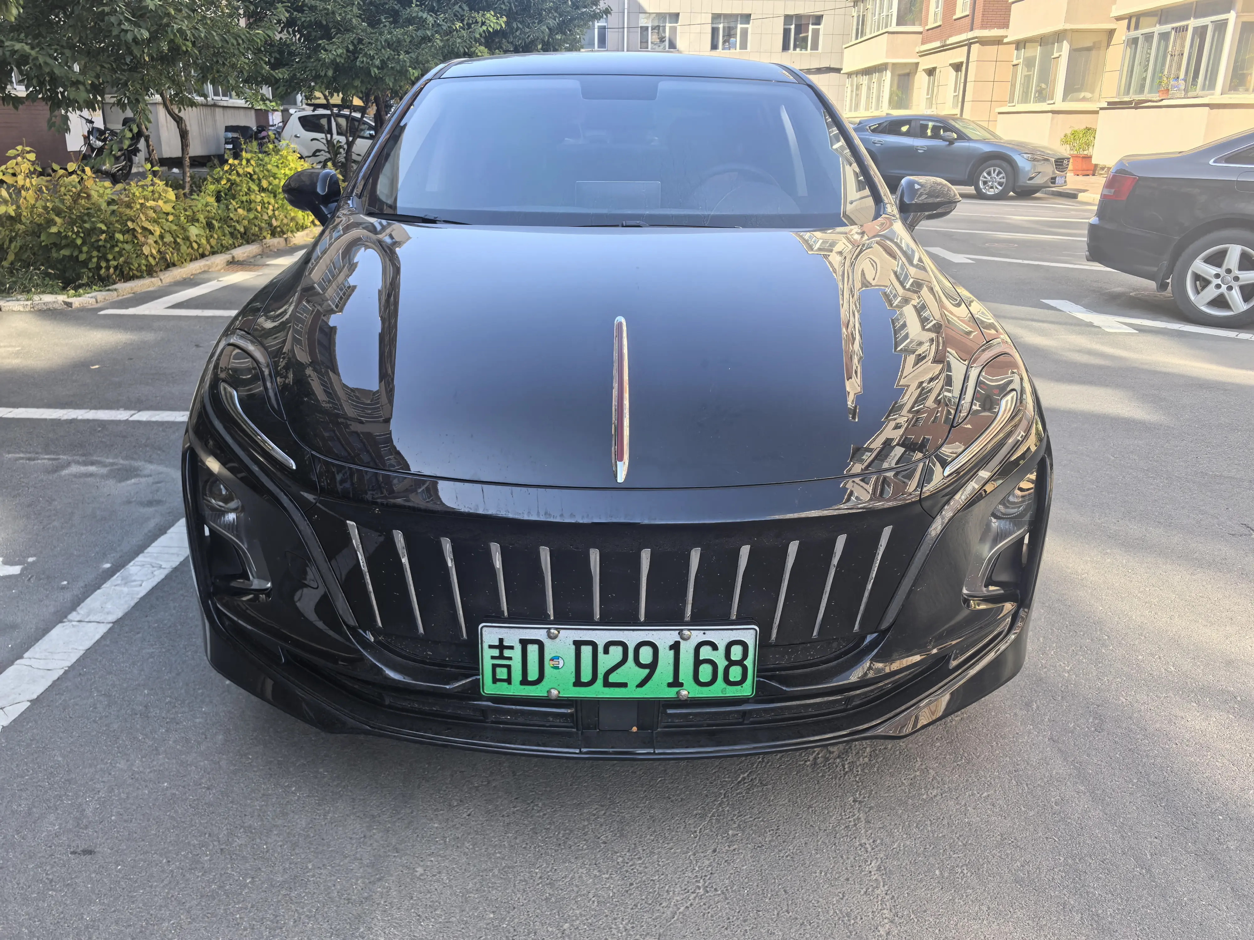 Hongqi E-QM5  из Китая