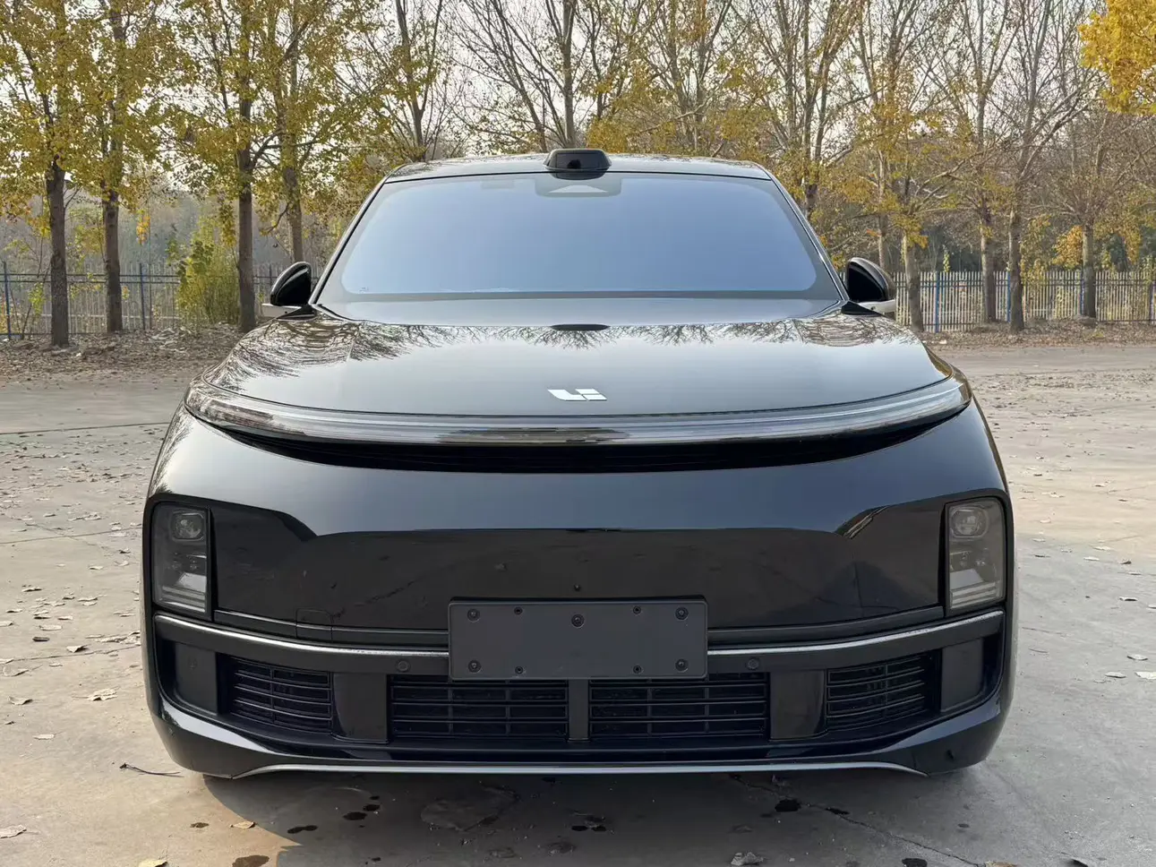 Li L8 (Ideal L8)  из Китая