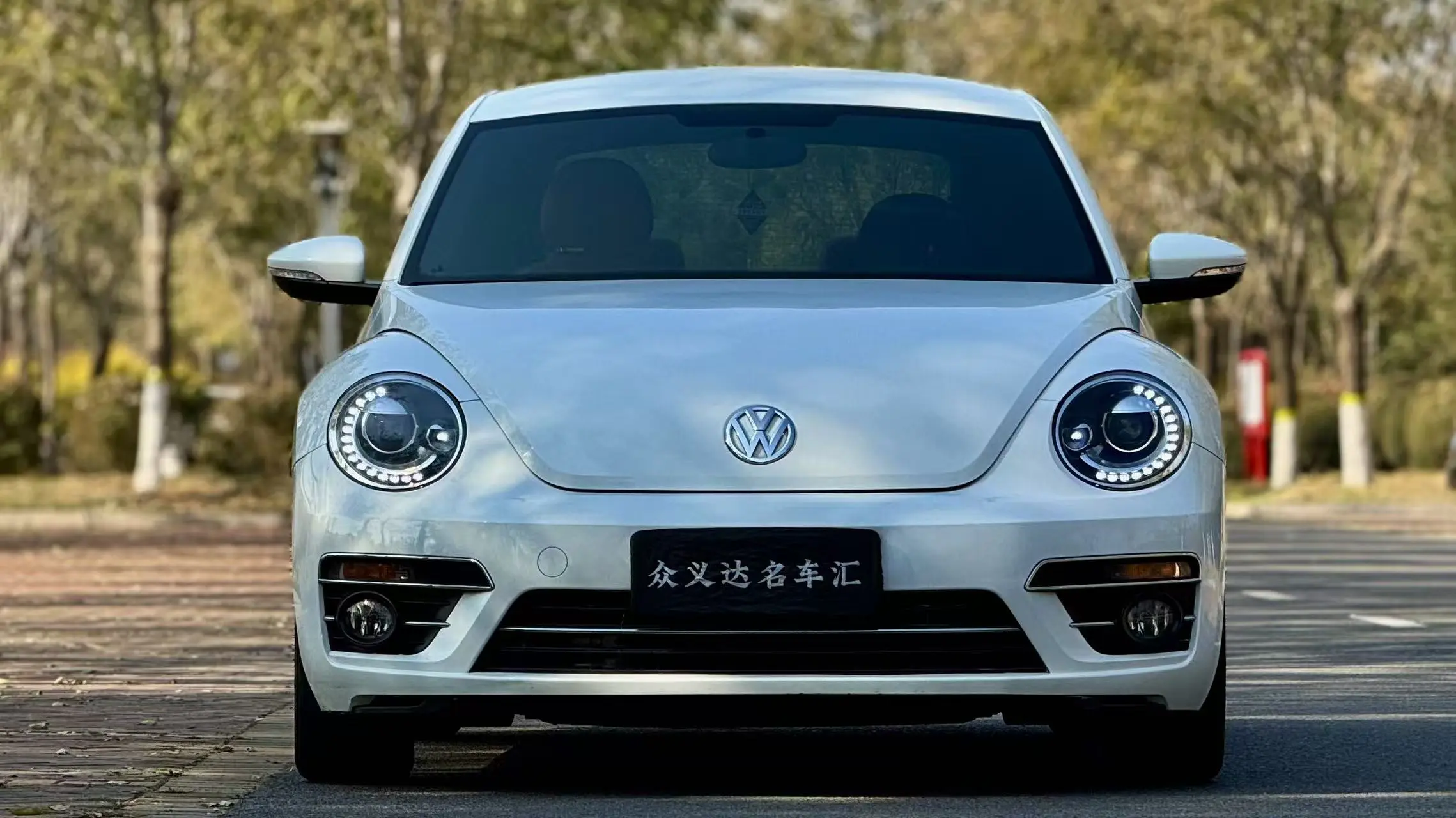 Volkswagen Beetle  из Китая