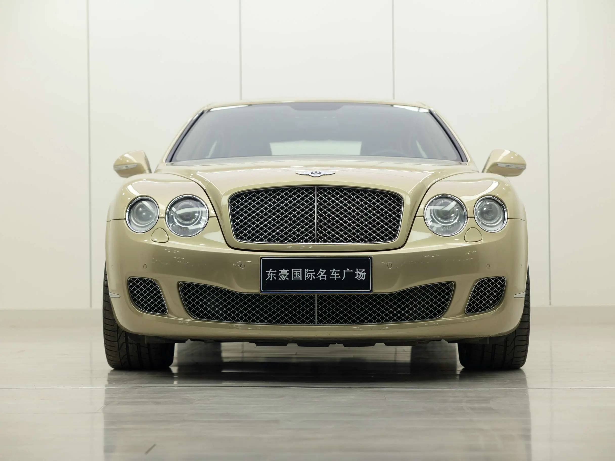 Bentley Galloping