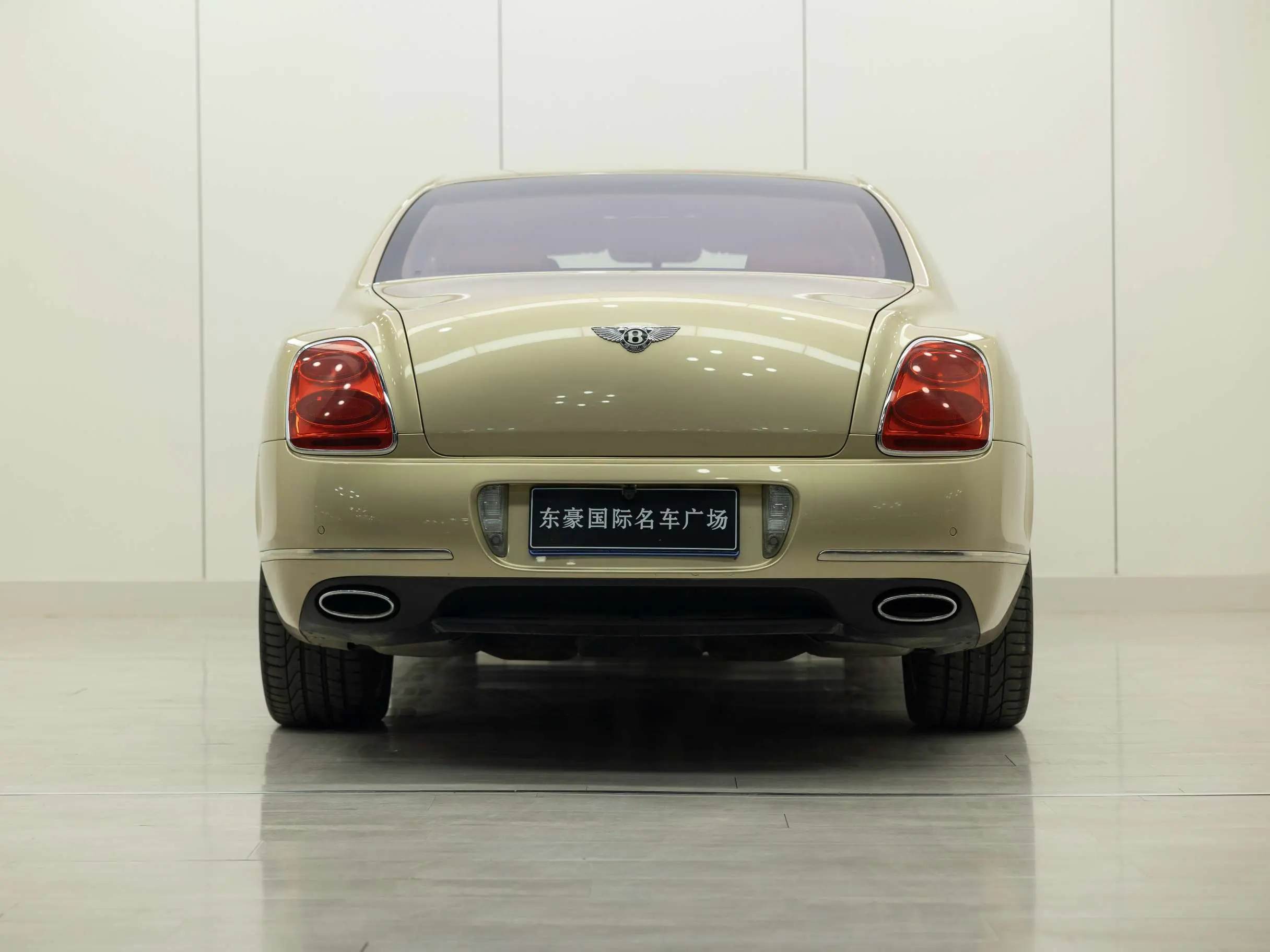 Bentley Galloping
