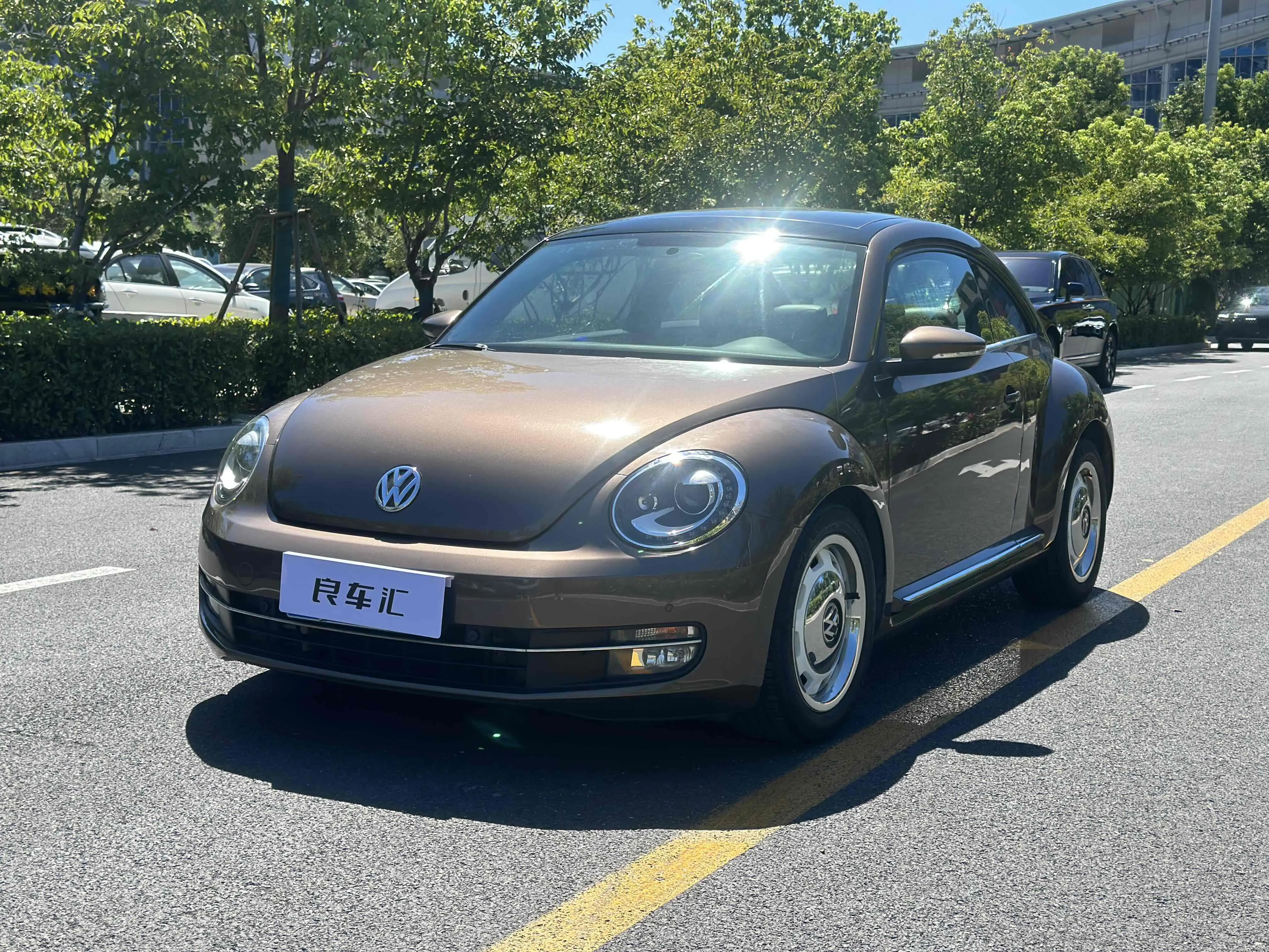 Volkswagen Beetle  из Китая