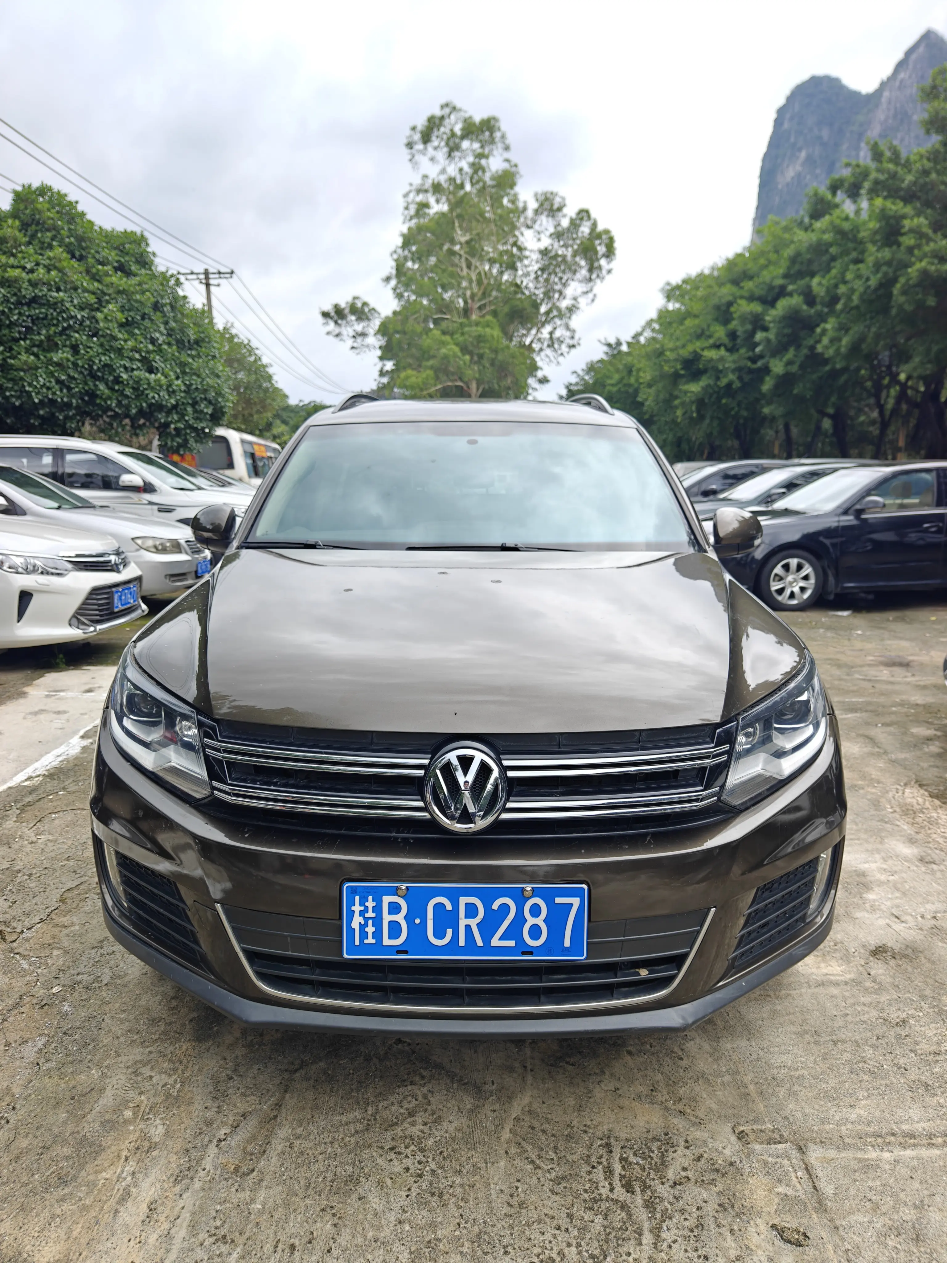 Volkswagen Tiguan  из Китая
