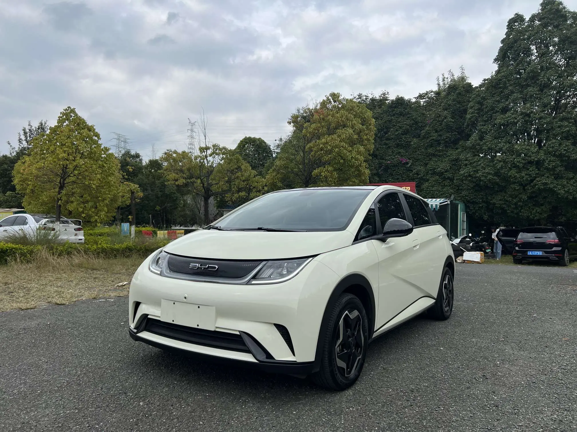 BYD Dolphin  из Китая