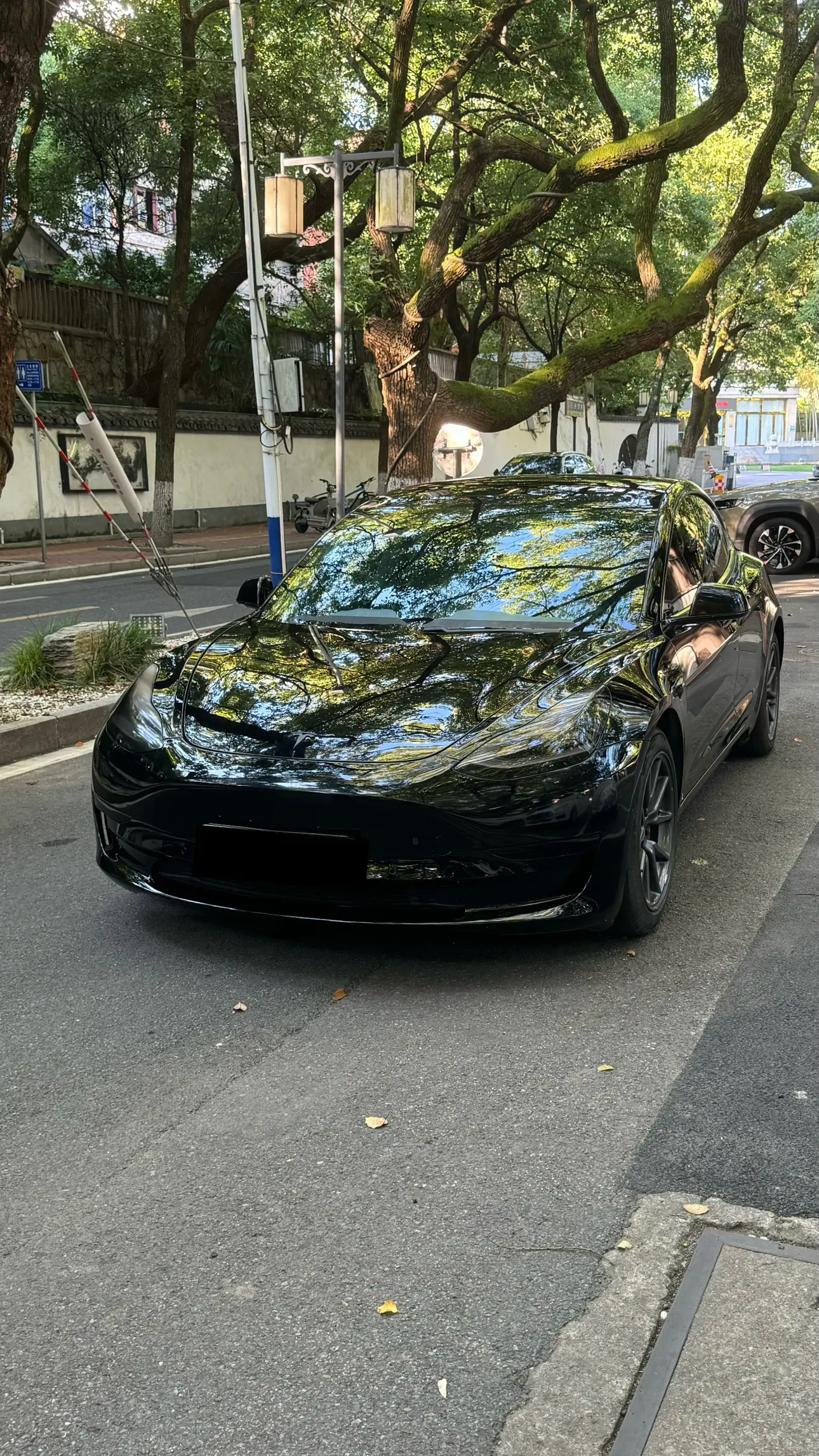 Tesla Model 3  из Китая