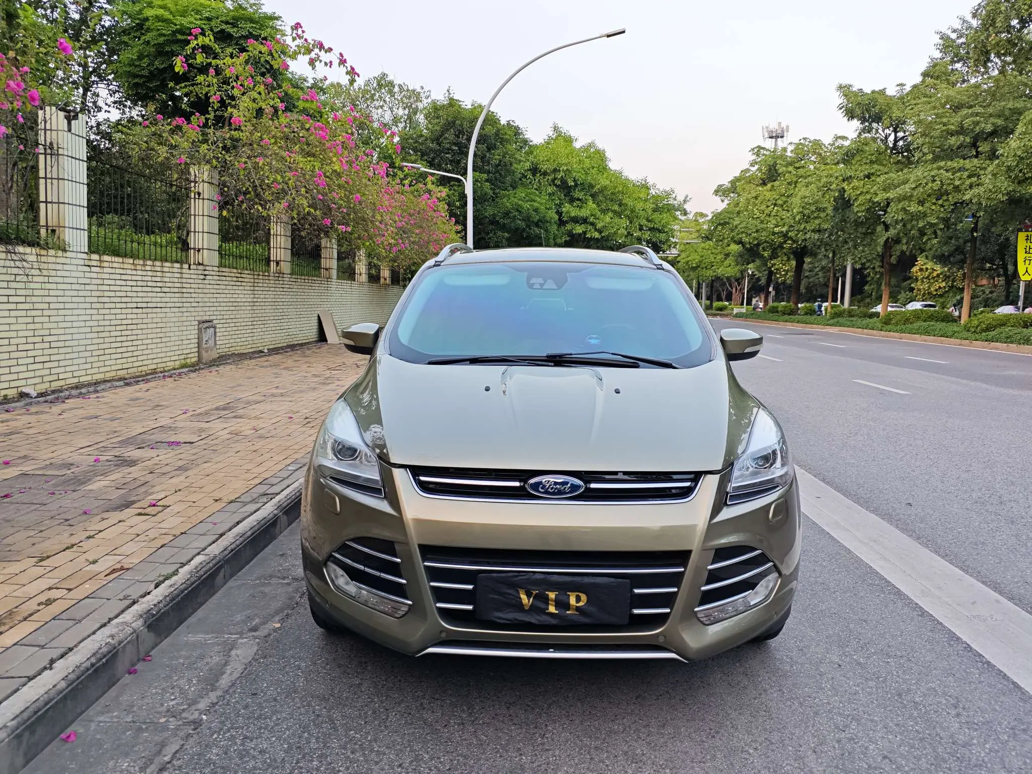 Ford Wing tiger  из Китая