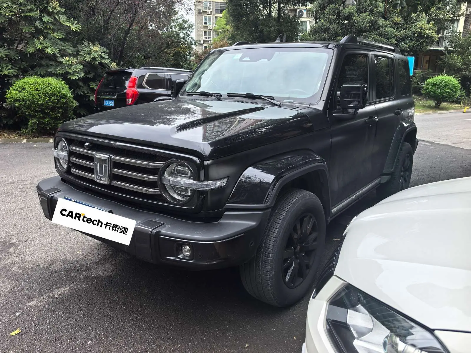 Tank 300  из Китая