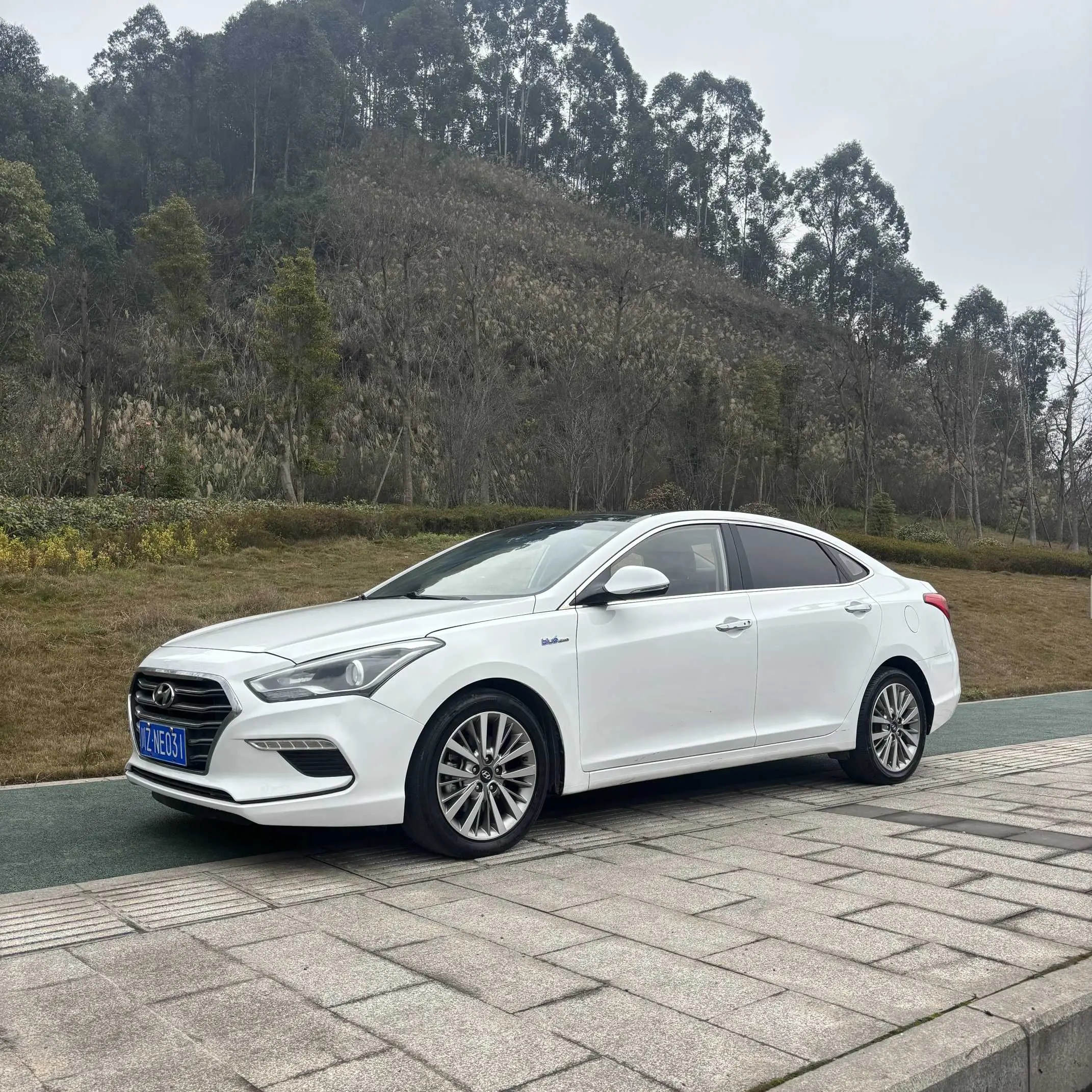 Hyundai Famous pictures  из Китая