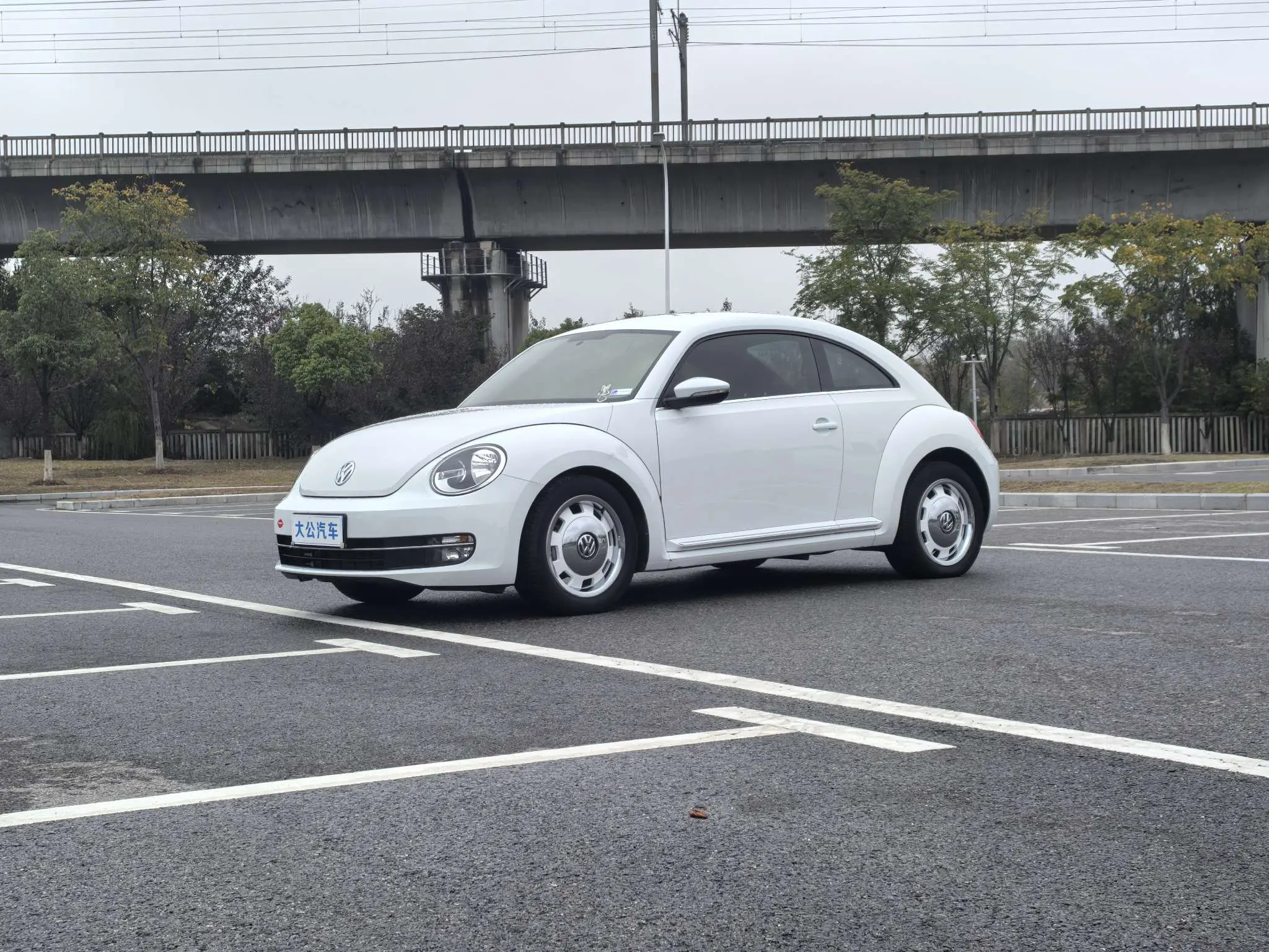 Volkswagen Beetle  из Китая