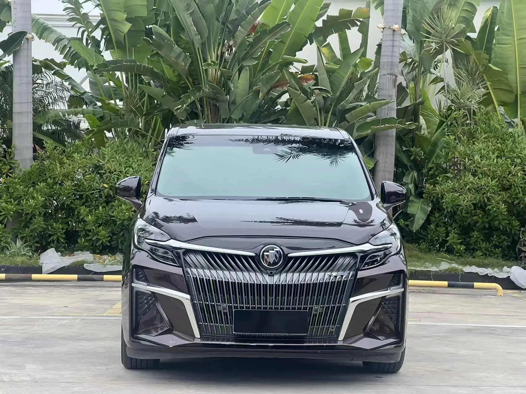 Buick GL8  из Китая