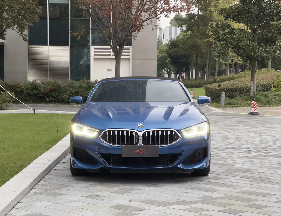 BMW 8 Series  из Китая