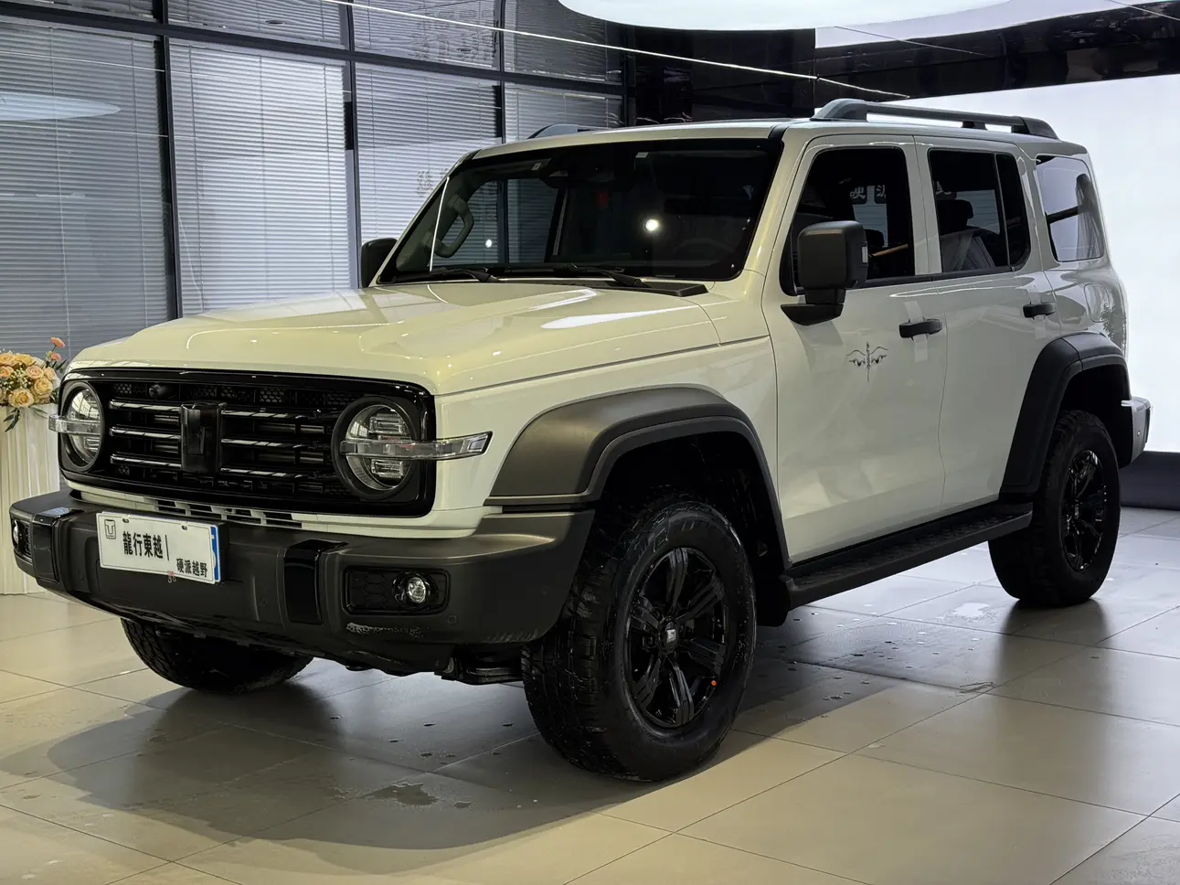 Tank 300  из Китая