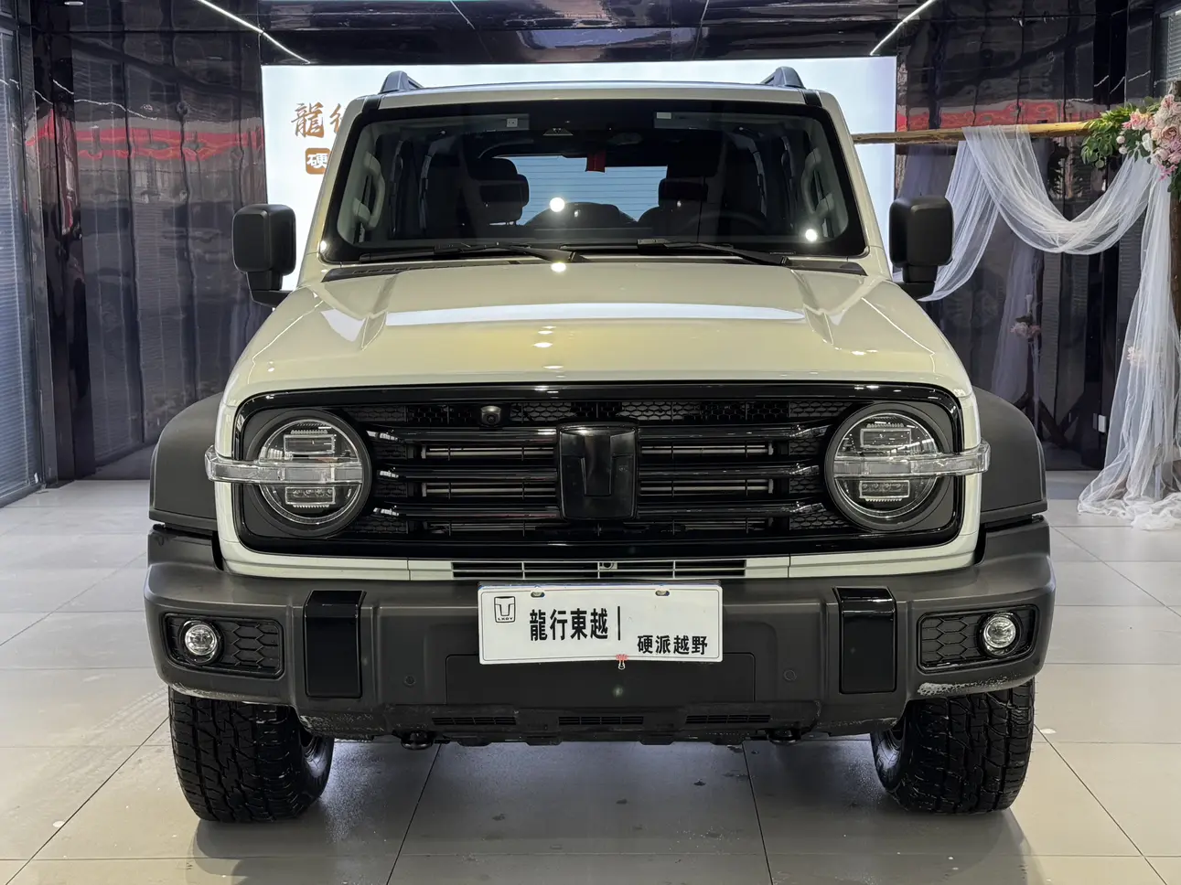 Tank 300  из Китая