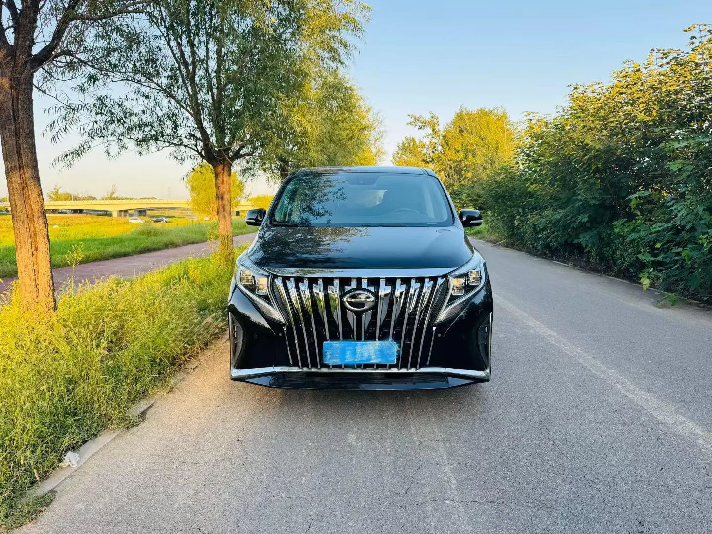 GAC Trumpchi M8  из Китая