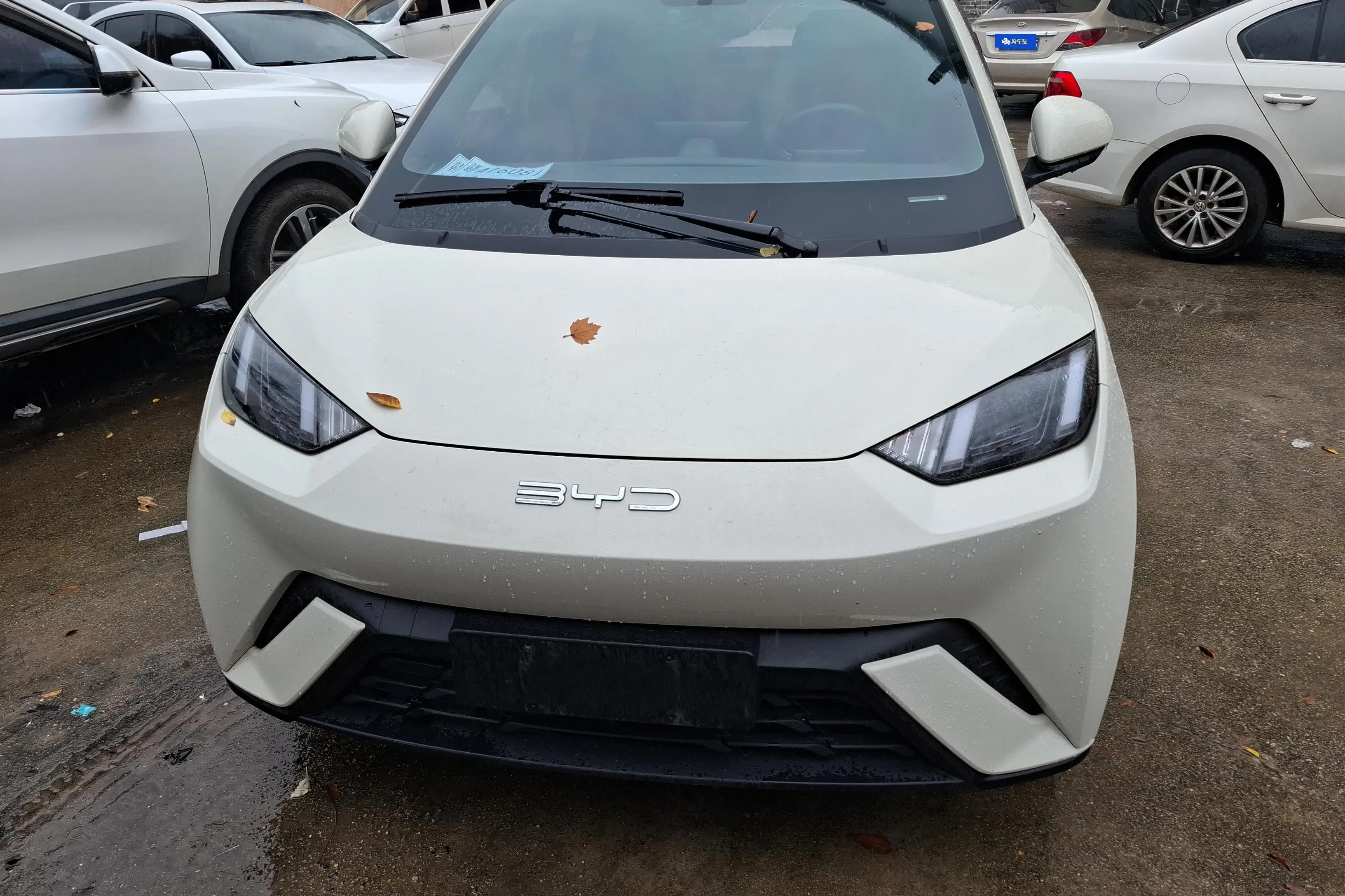 BYD Seagull  из Китая