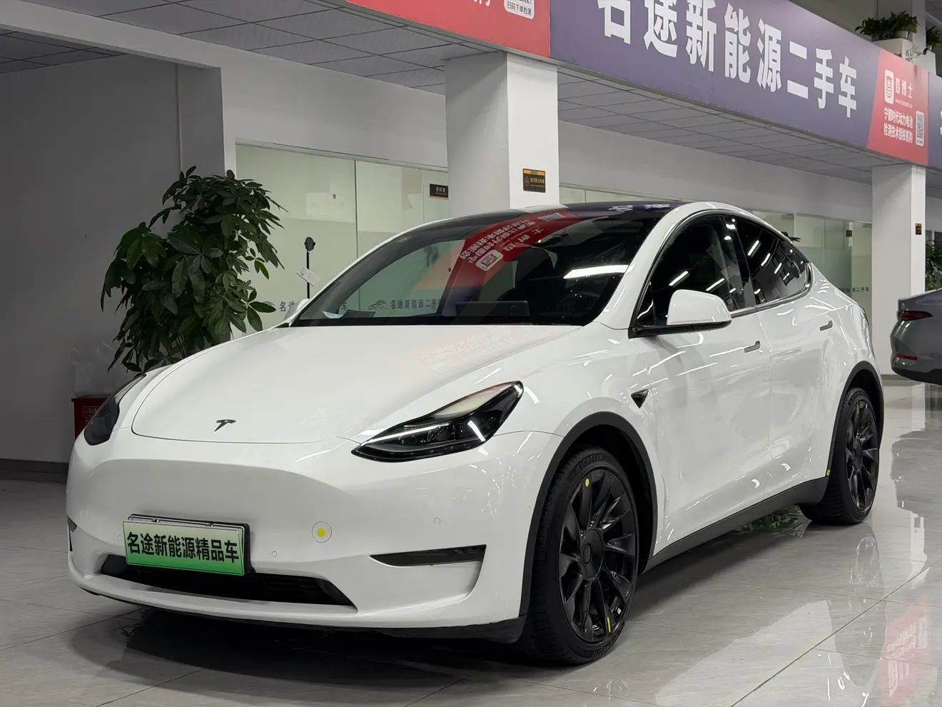 Tesla Model Y  из Китая