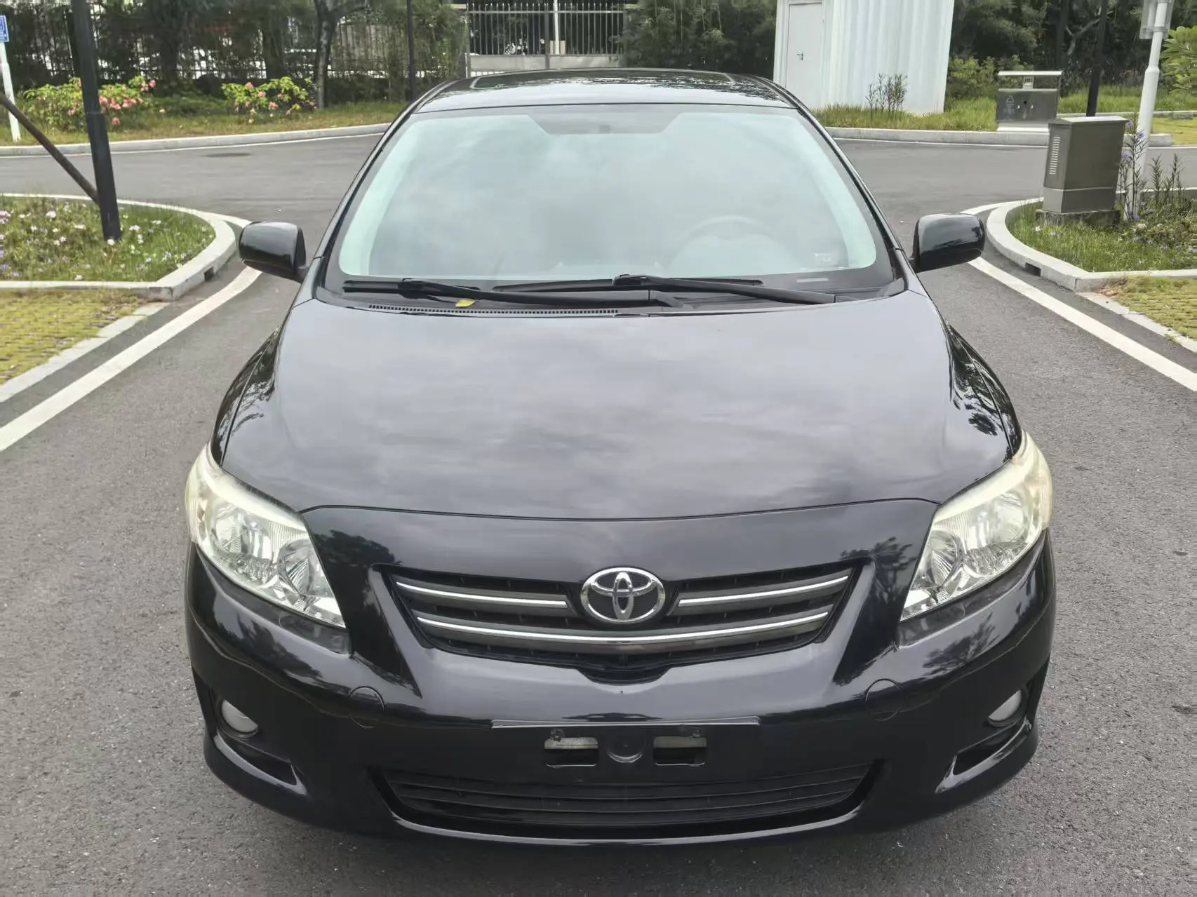 Toyota Corolla  из Китая