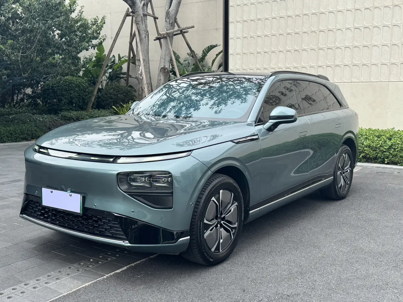 Xpeng G9  из Китая