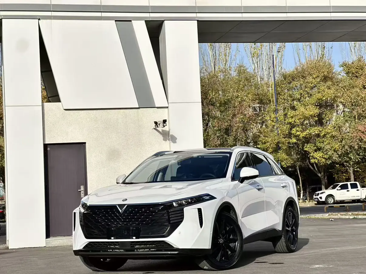 Kai Chen Venucia Big V  из Китая