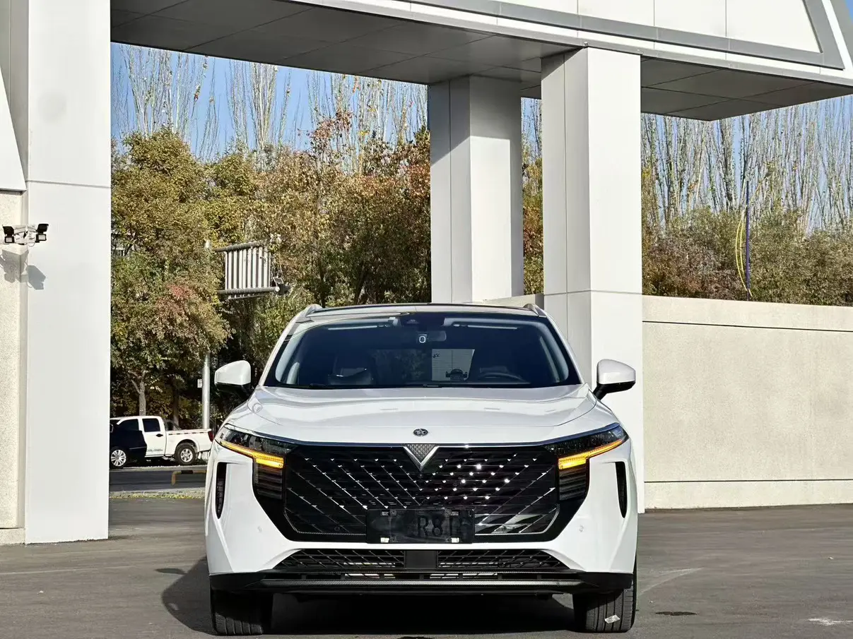 Kai Chen Venucia Big V  из Китая