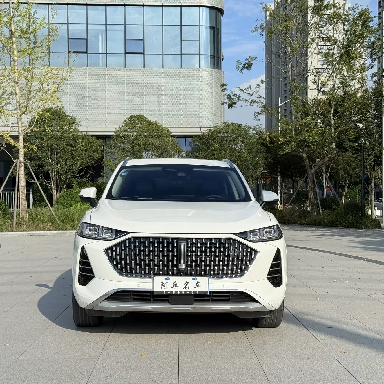 Wey Mocha  из Китая