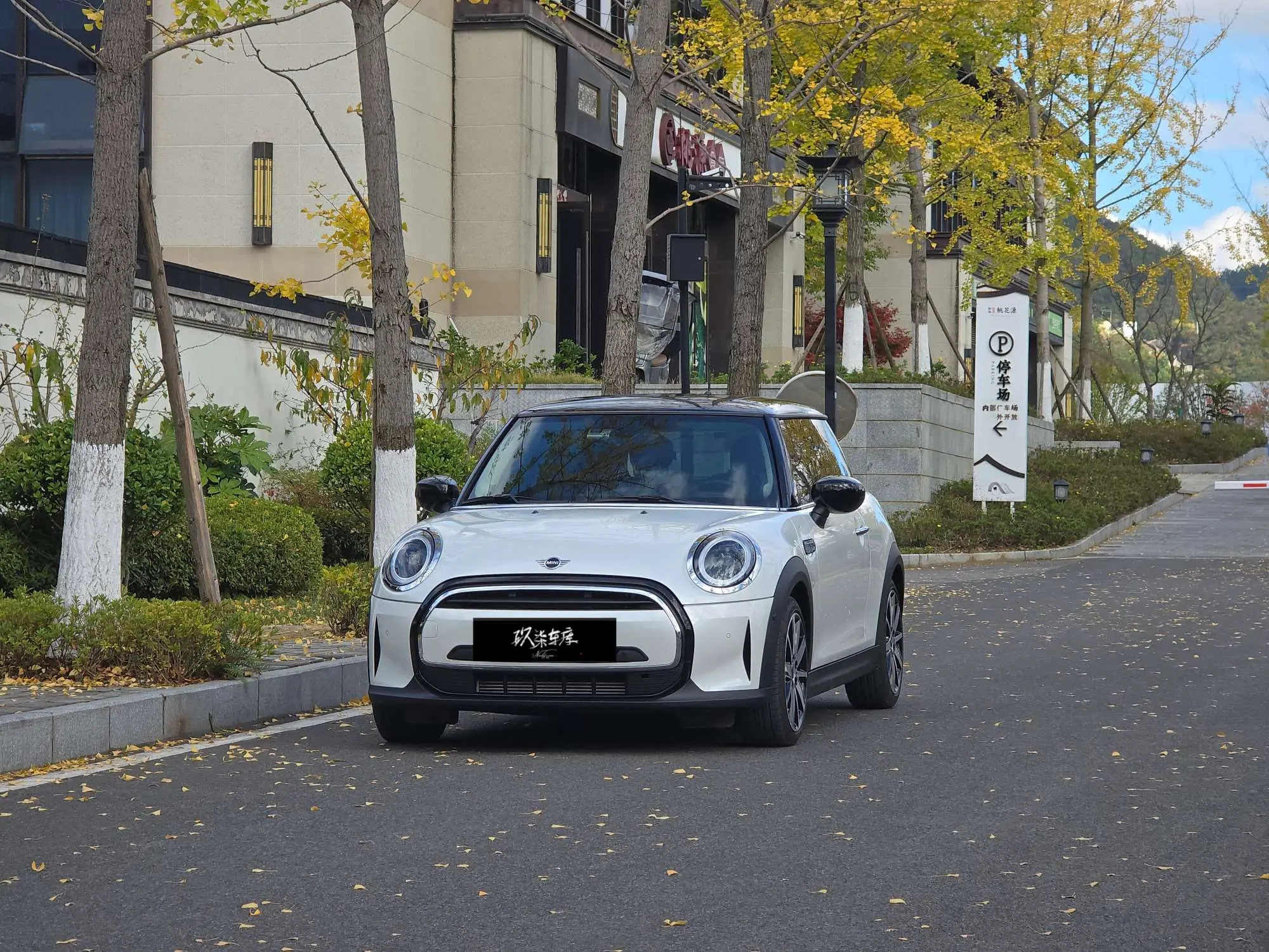 MINI MINI