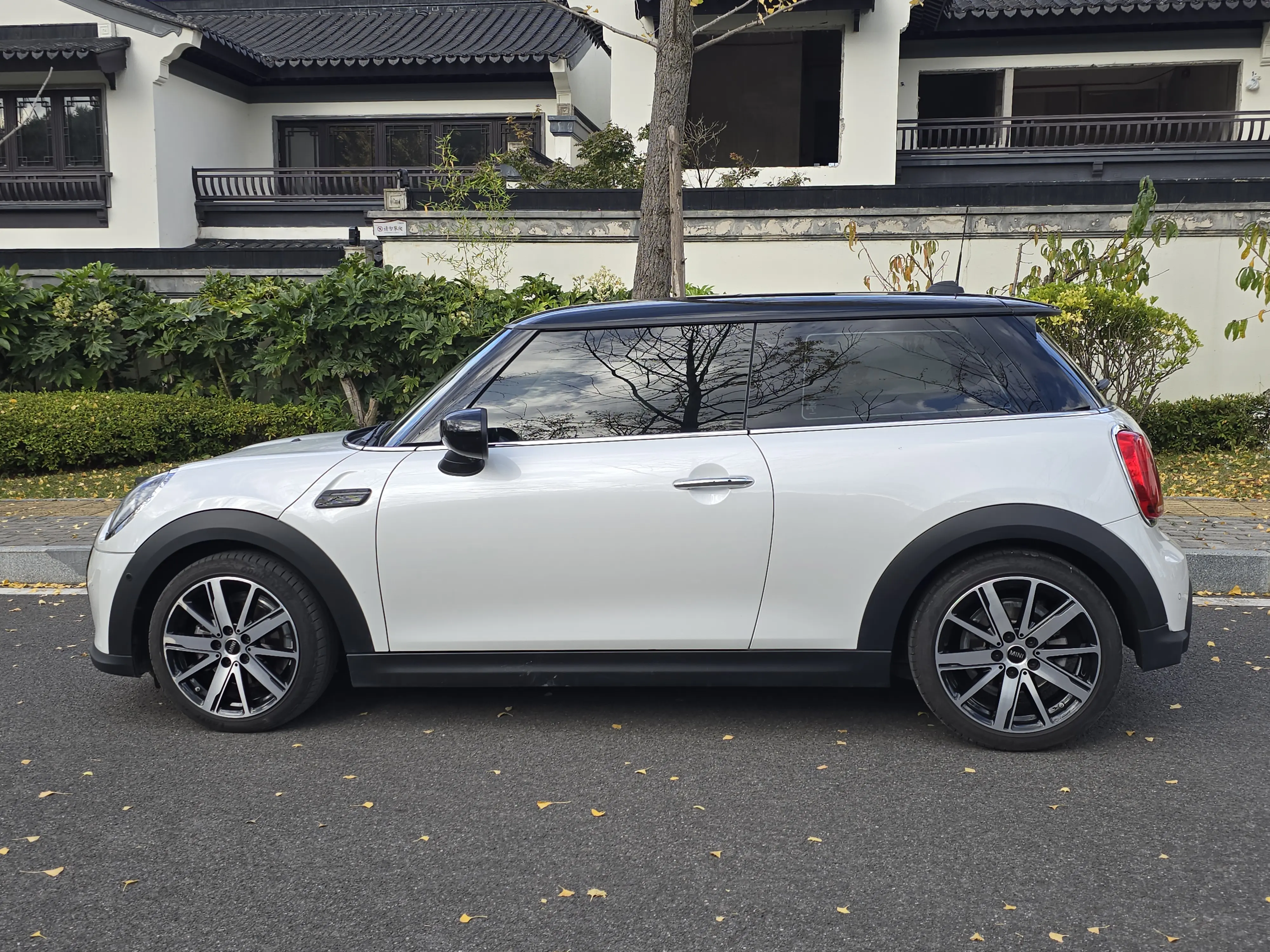MINI 