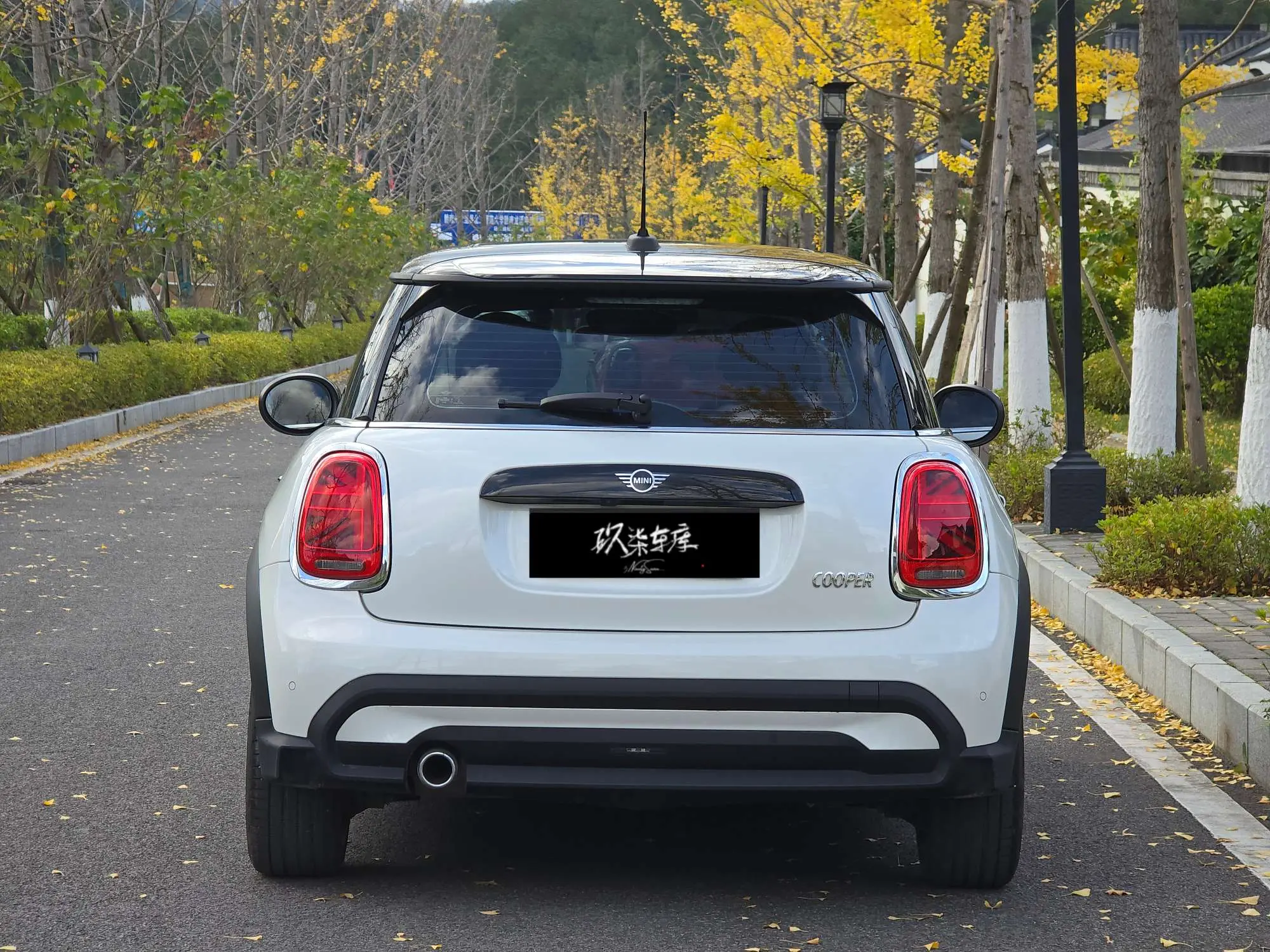 MINI 