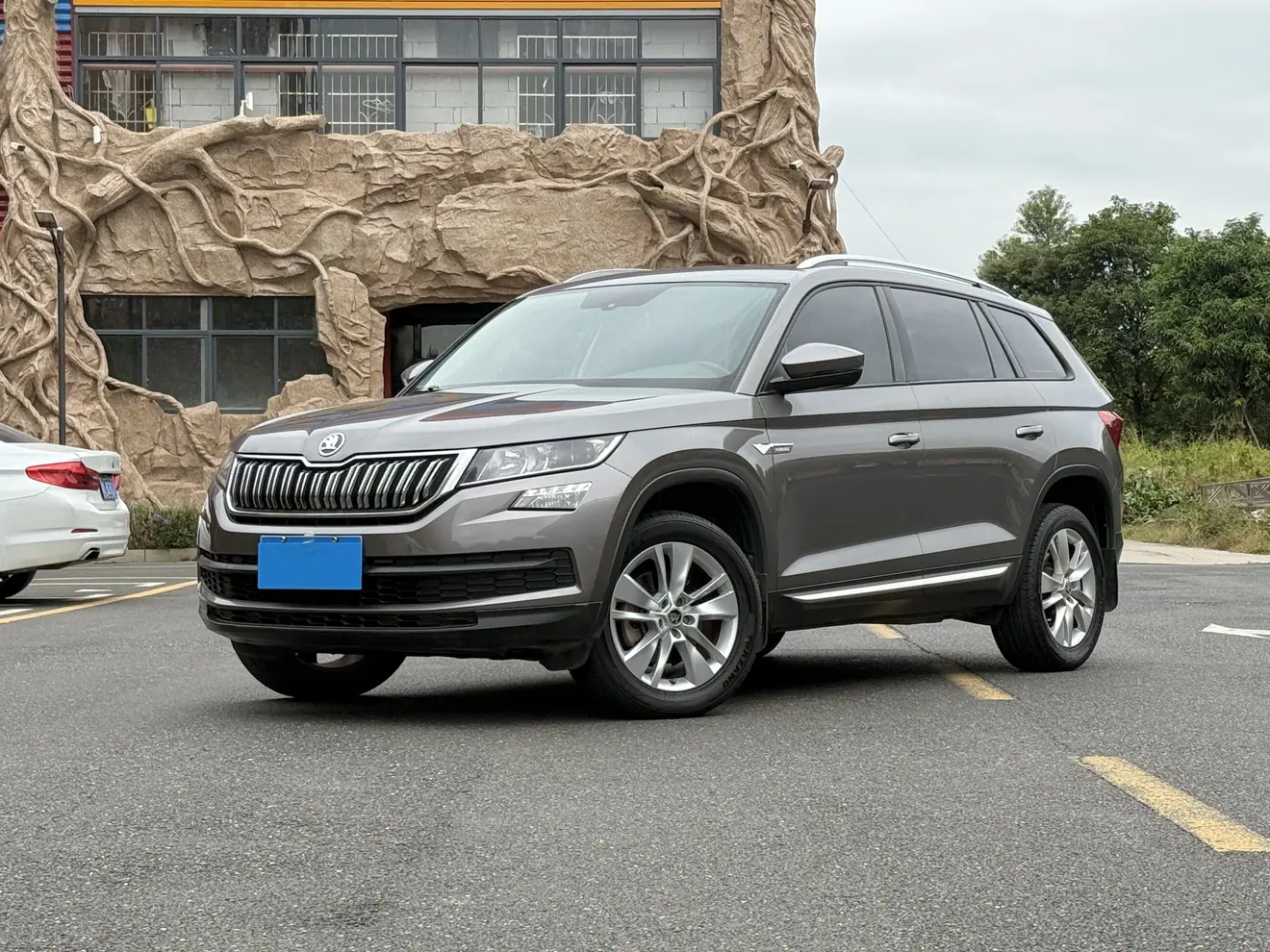 Skoda Kodiaq  из Китая